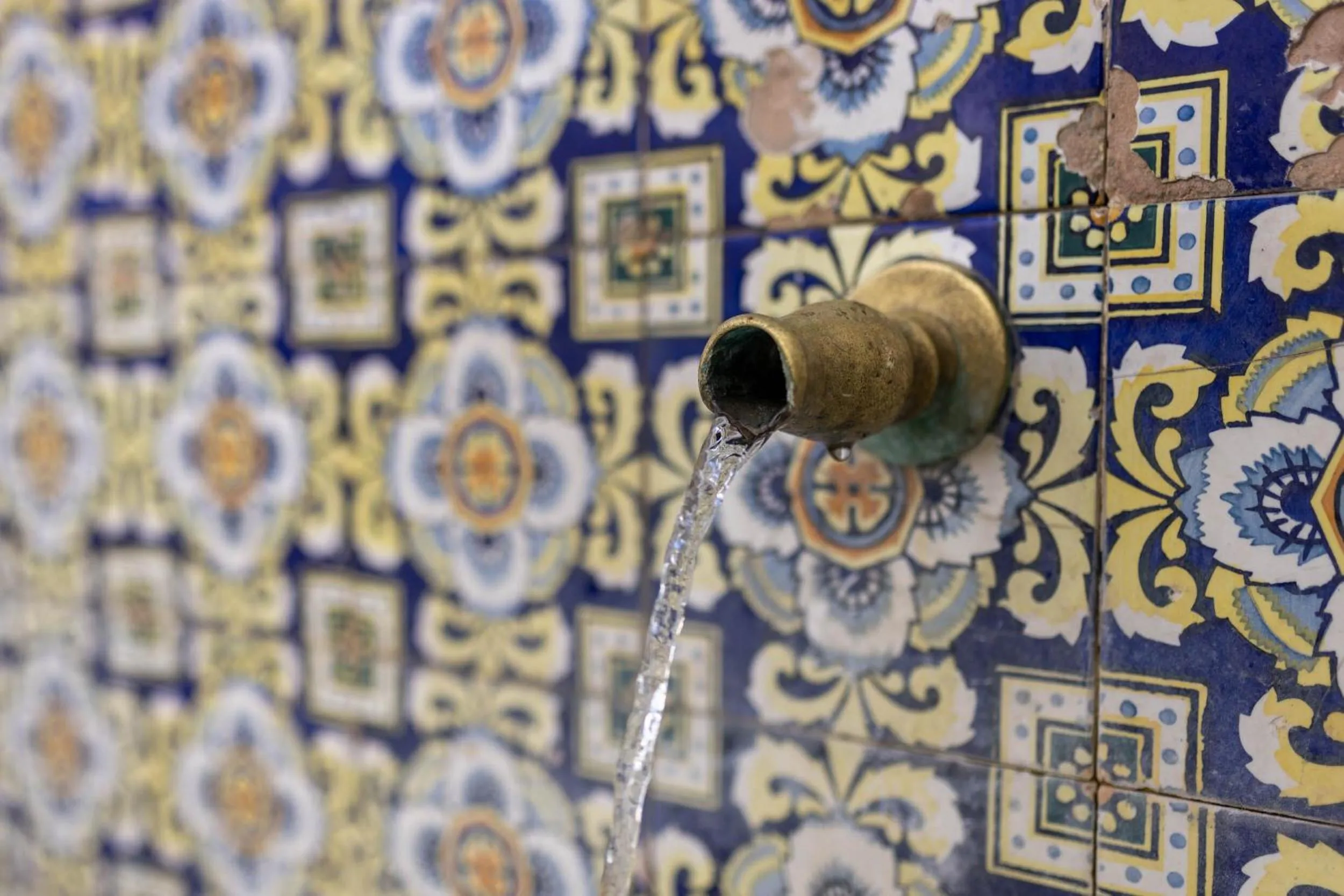 Neighbourhood in Olive & Ivy Guesthouse