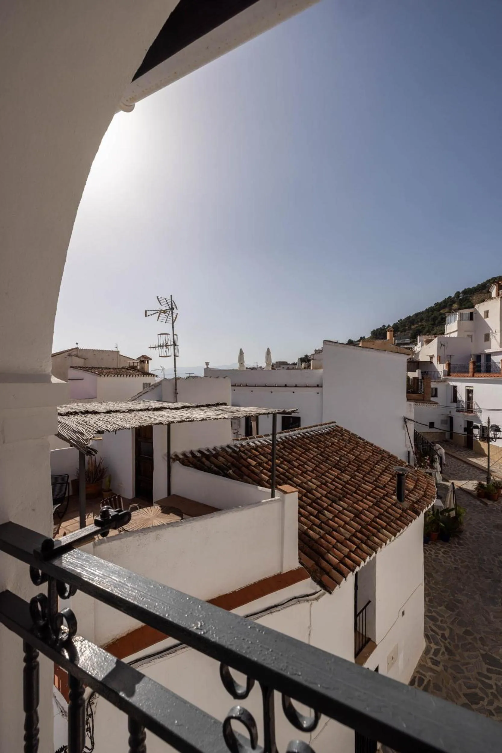 Patio in Olive & Ivy Guesthouse