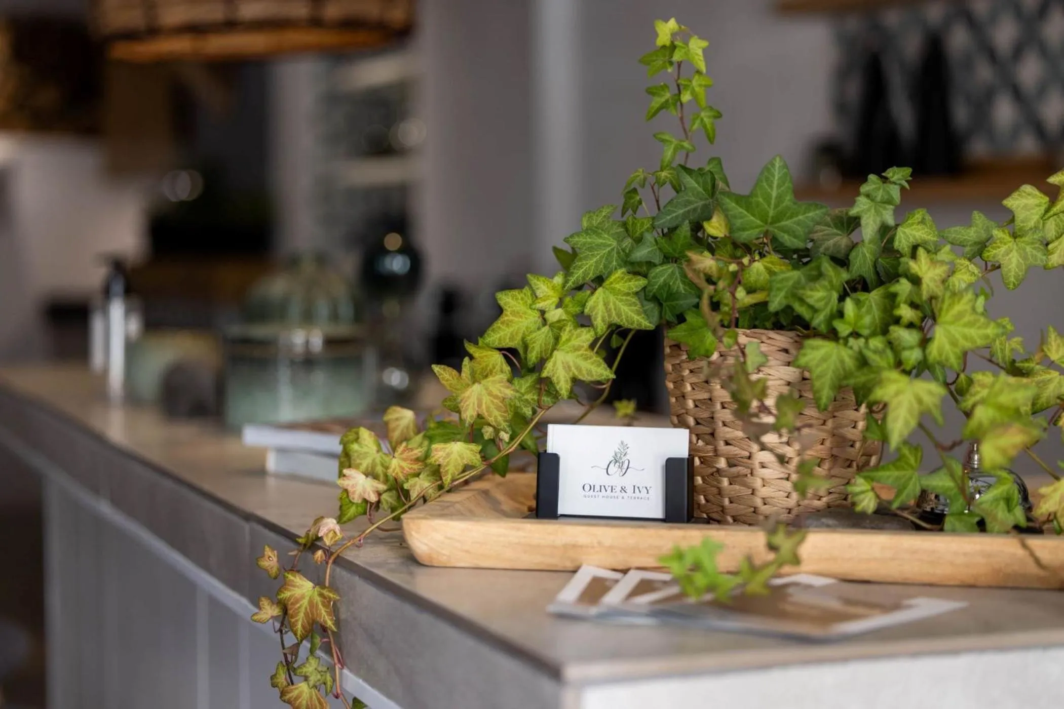 Lobby or reception in Olive & Ivy Guesthouse