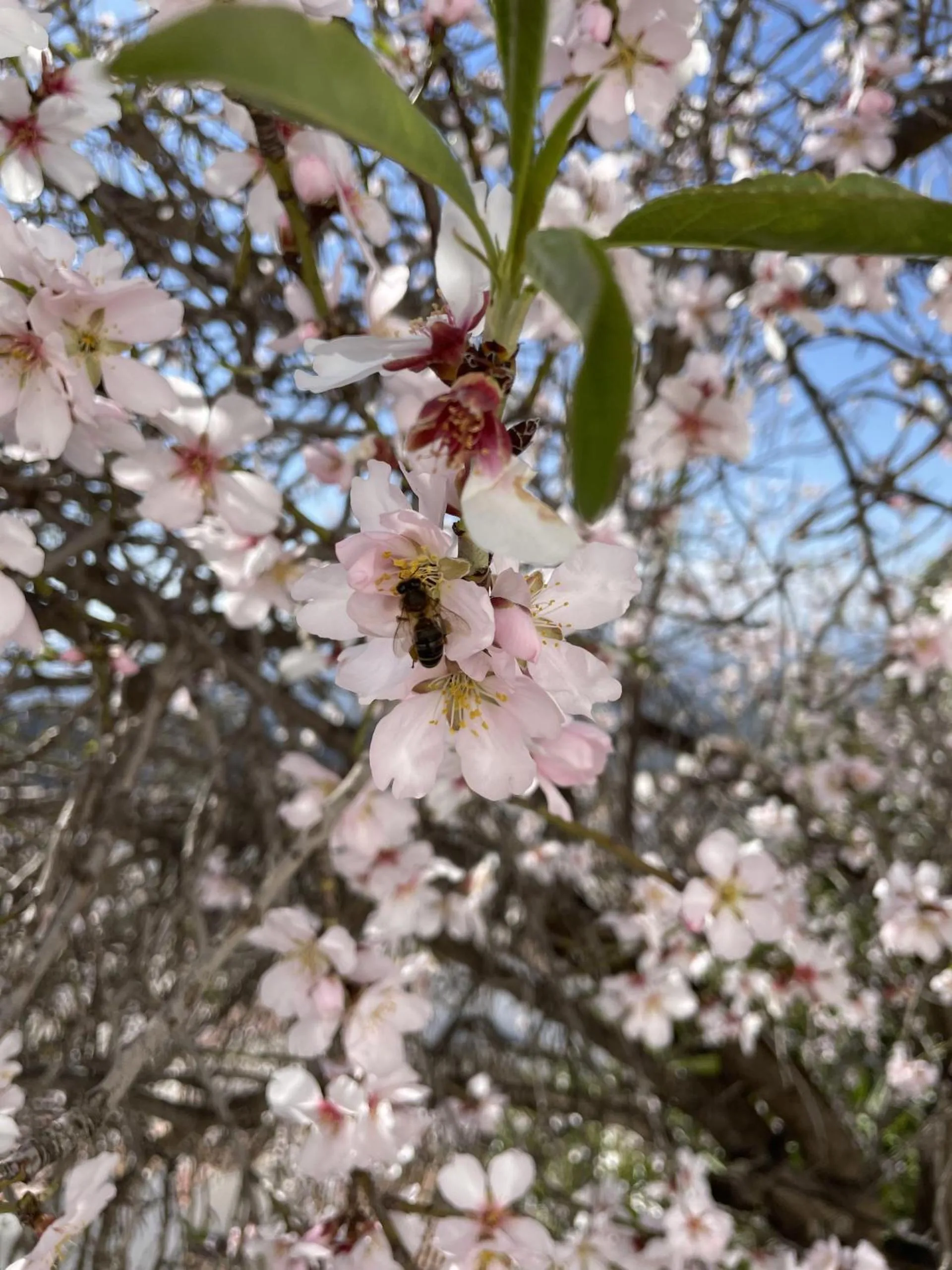 Activities in Olive & Ivy Guesthouse