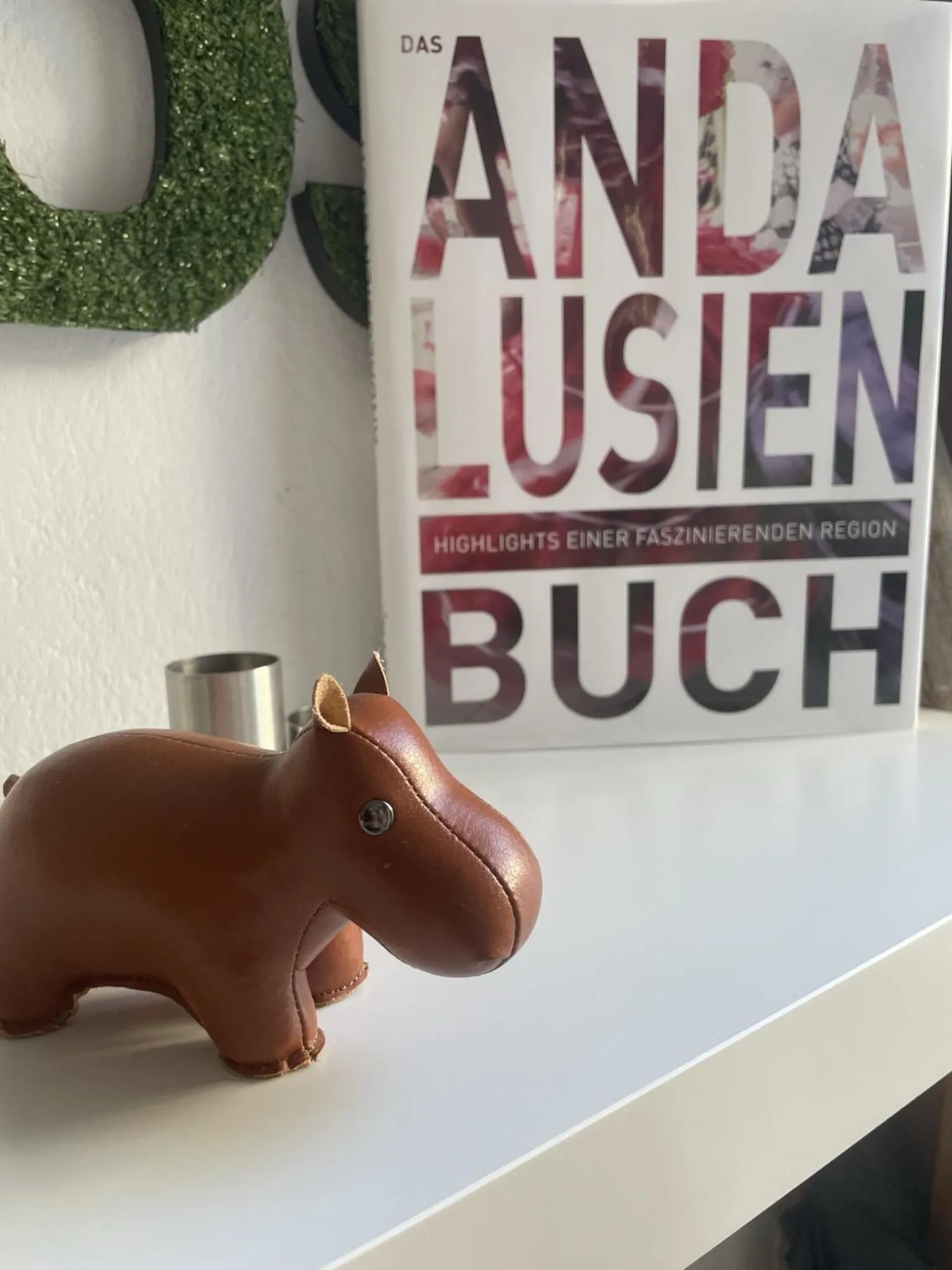 Activities in Olive & Ivy Guesthouse