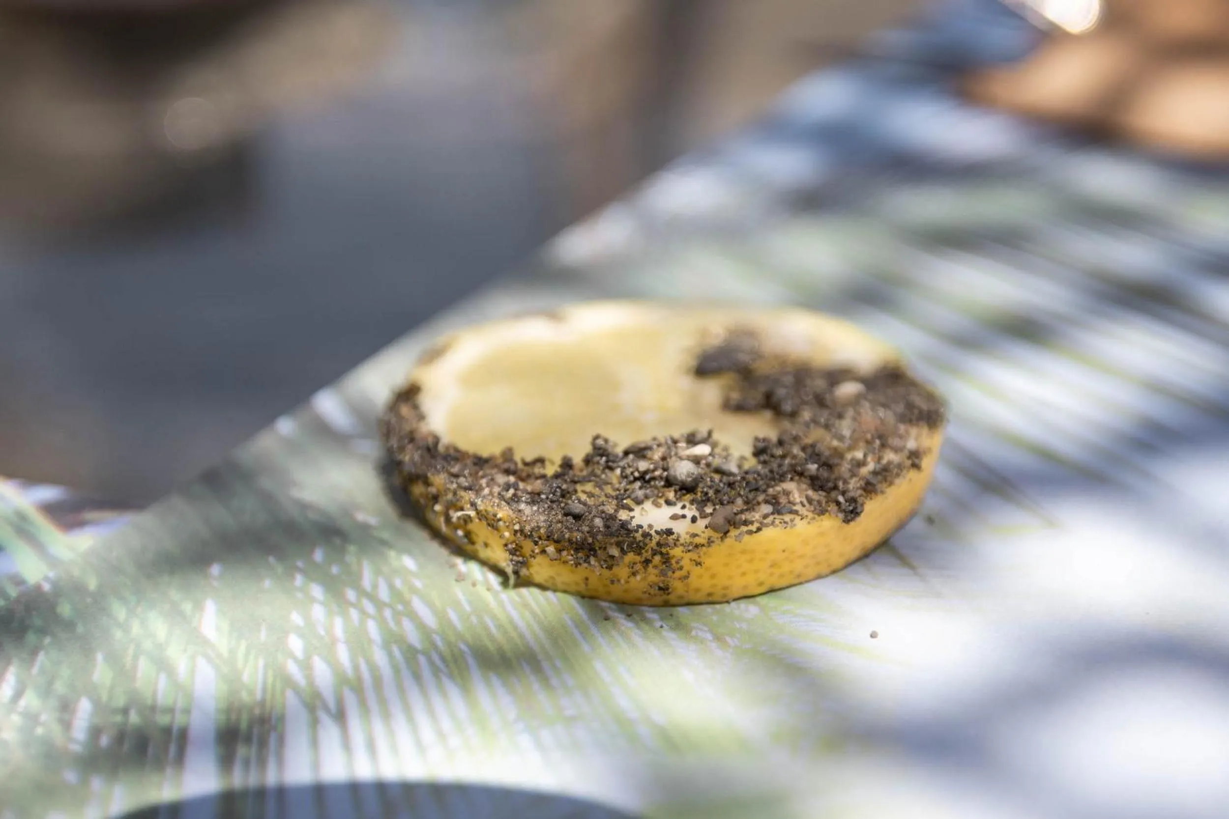 Food and drinks in Olive & Ivy Guesthouse