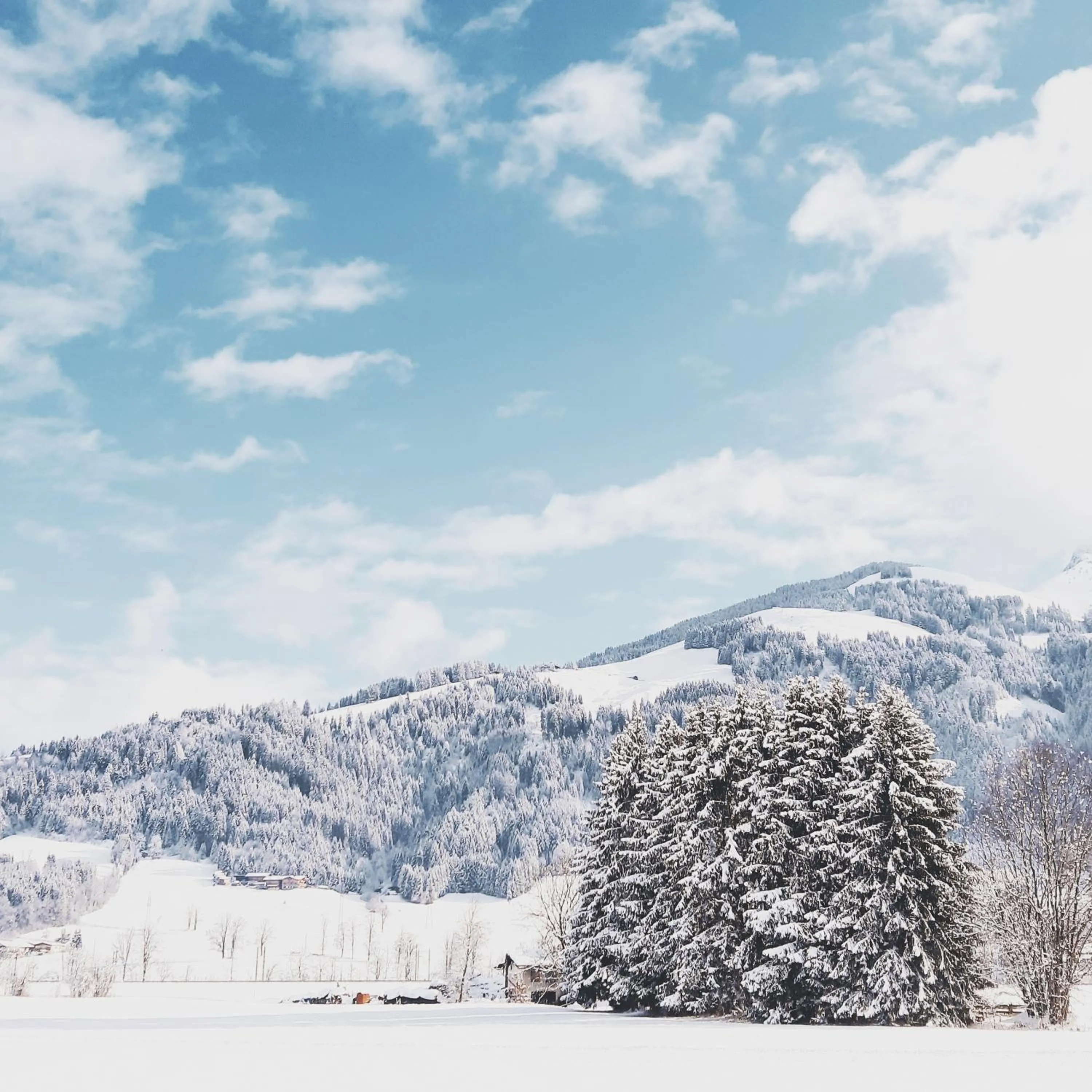Natural landscape in Privatzimmervermietung Foidlbauer
