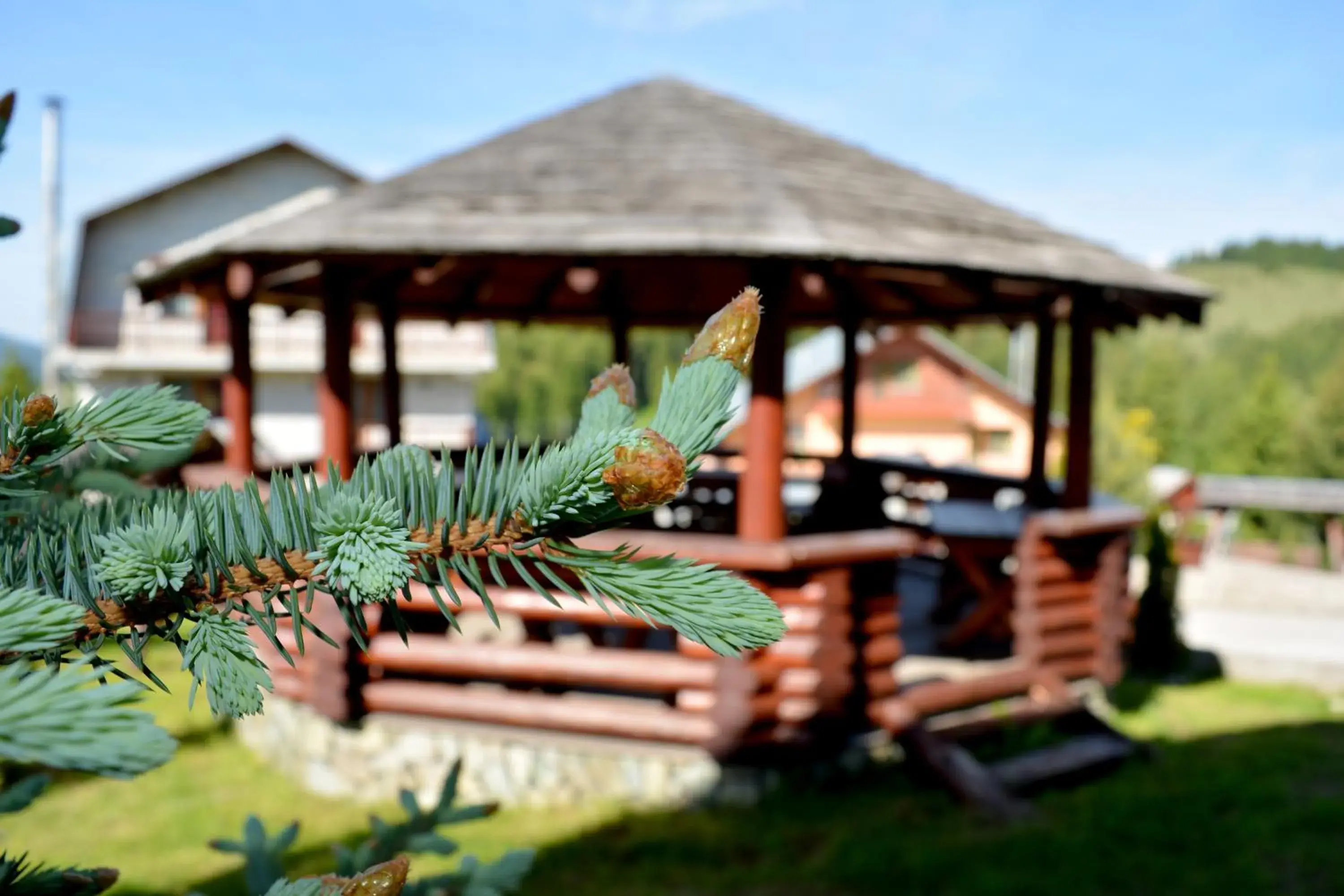 Property building in Resort EuroPark Fundata Property building in Resort EuroPark Fundata