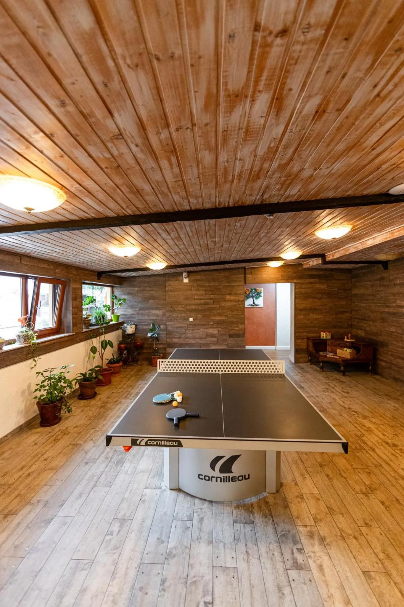 Table tennis in Resort EuroPark Fundata