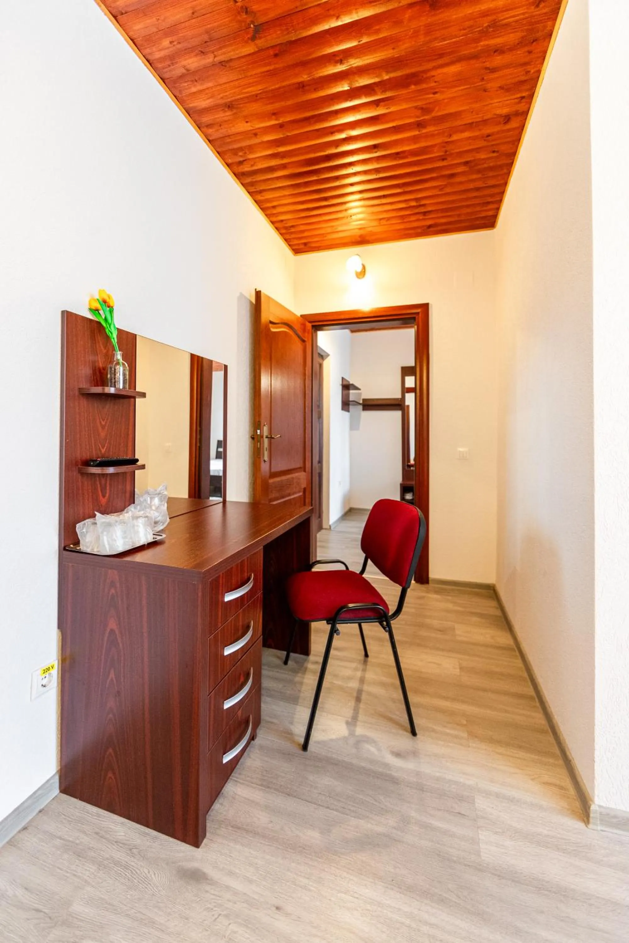 Business facilities in Resort EuroPark Fundata