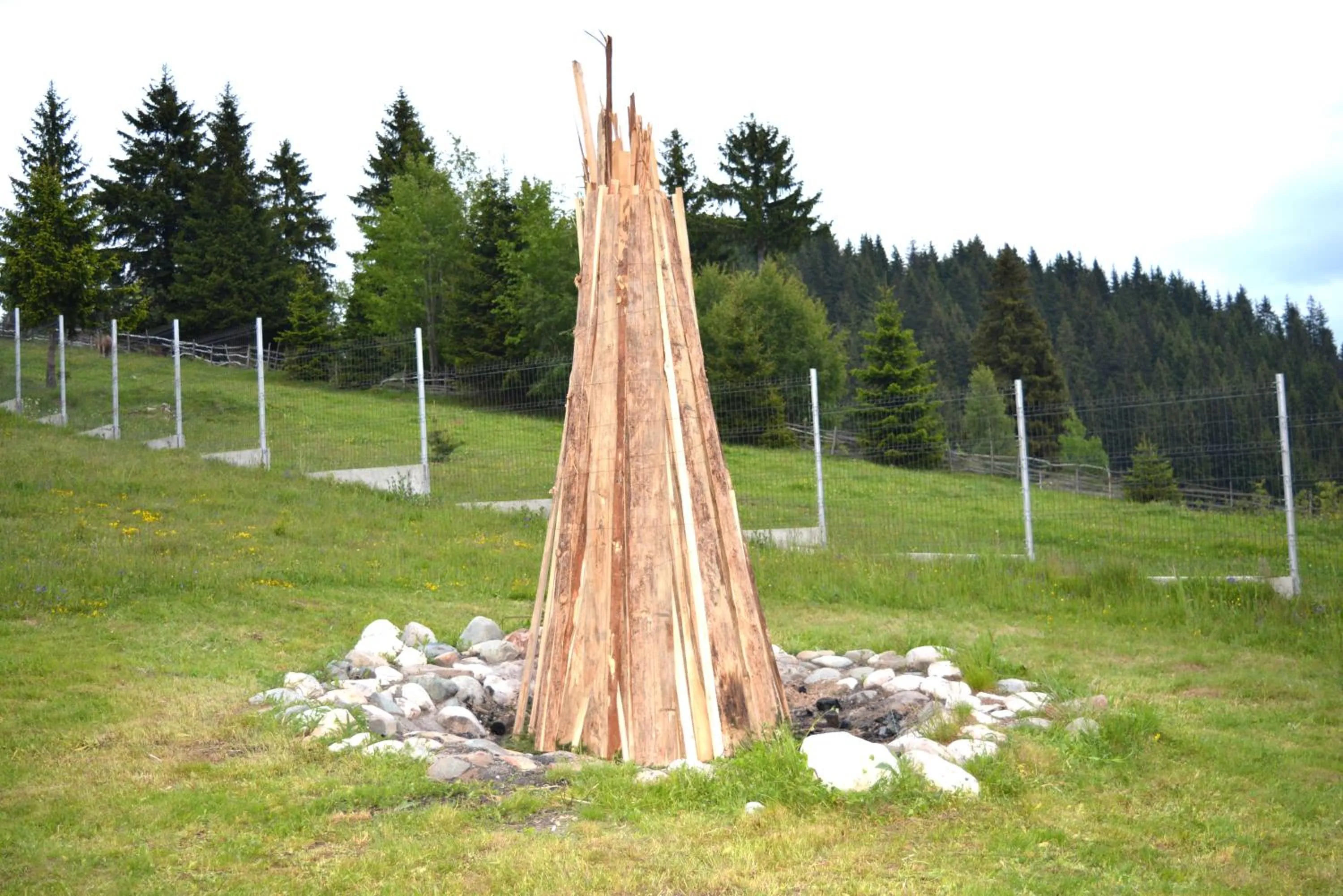 Spring in Resort EuroPark Fundata