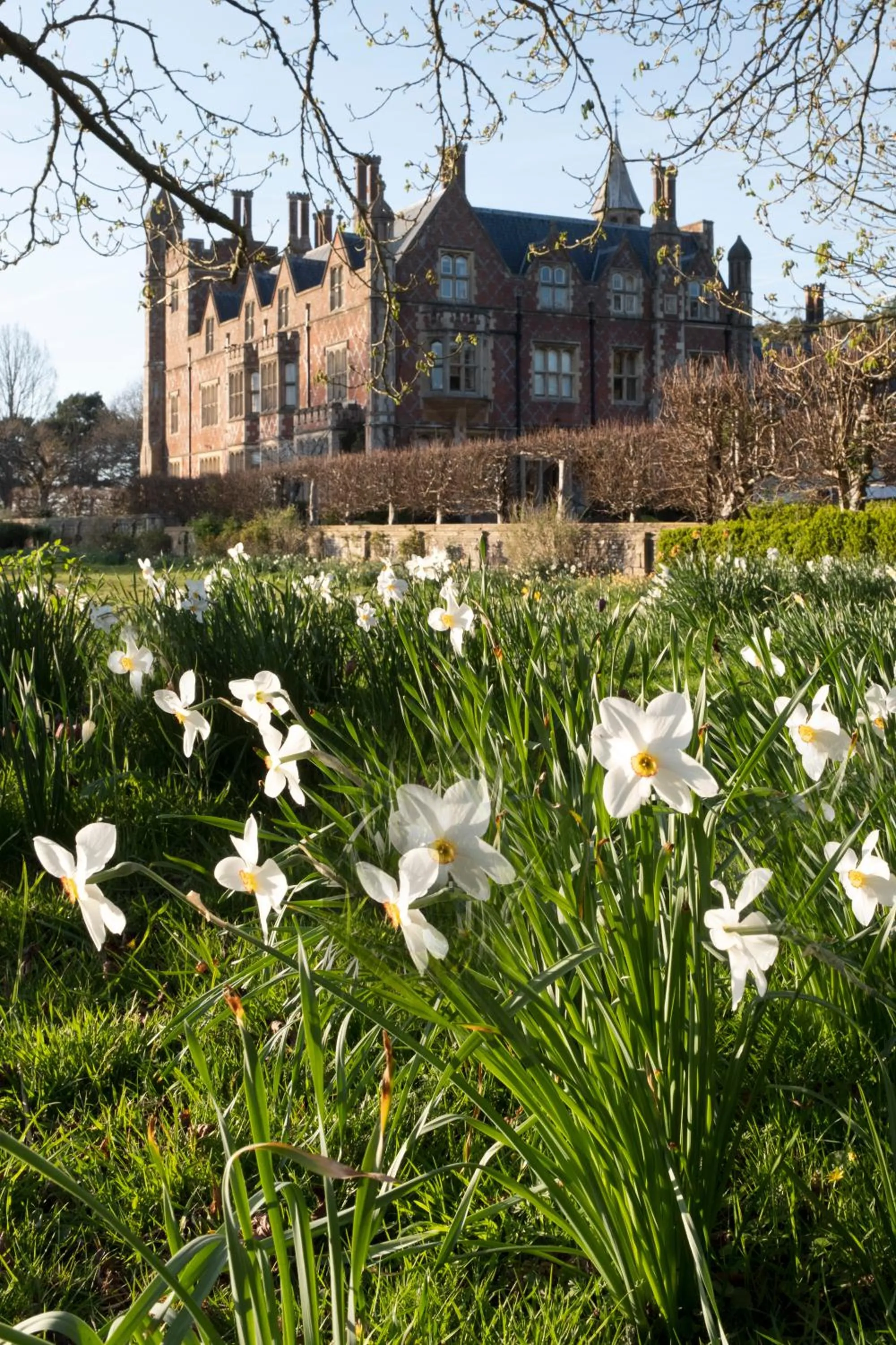Garden in Horsted Place Hotel