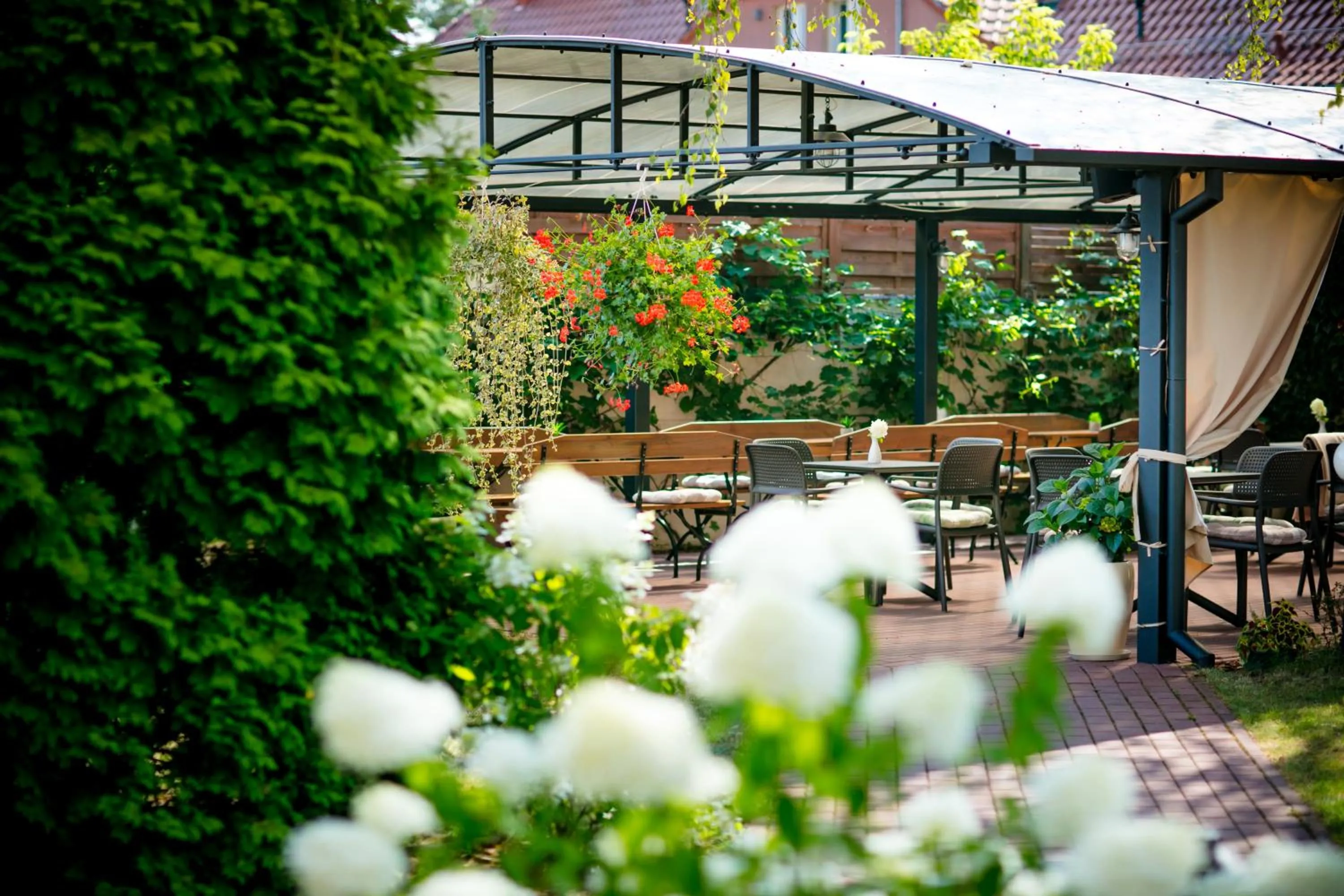 Garden in Hotel Onyx