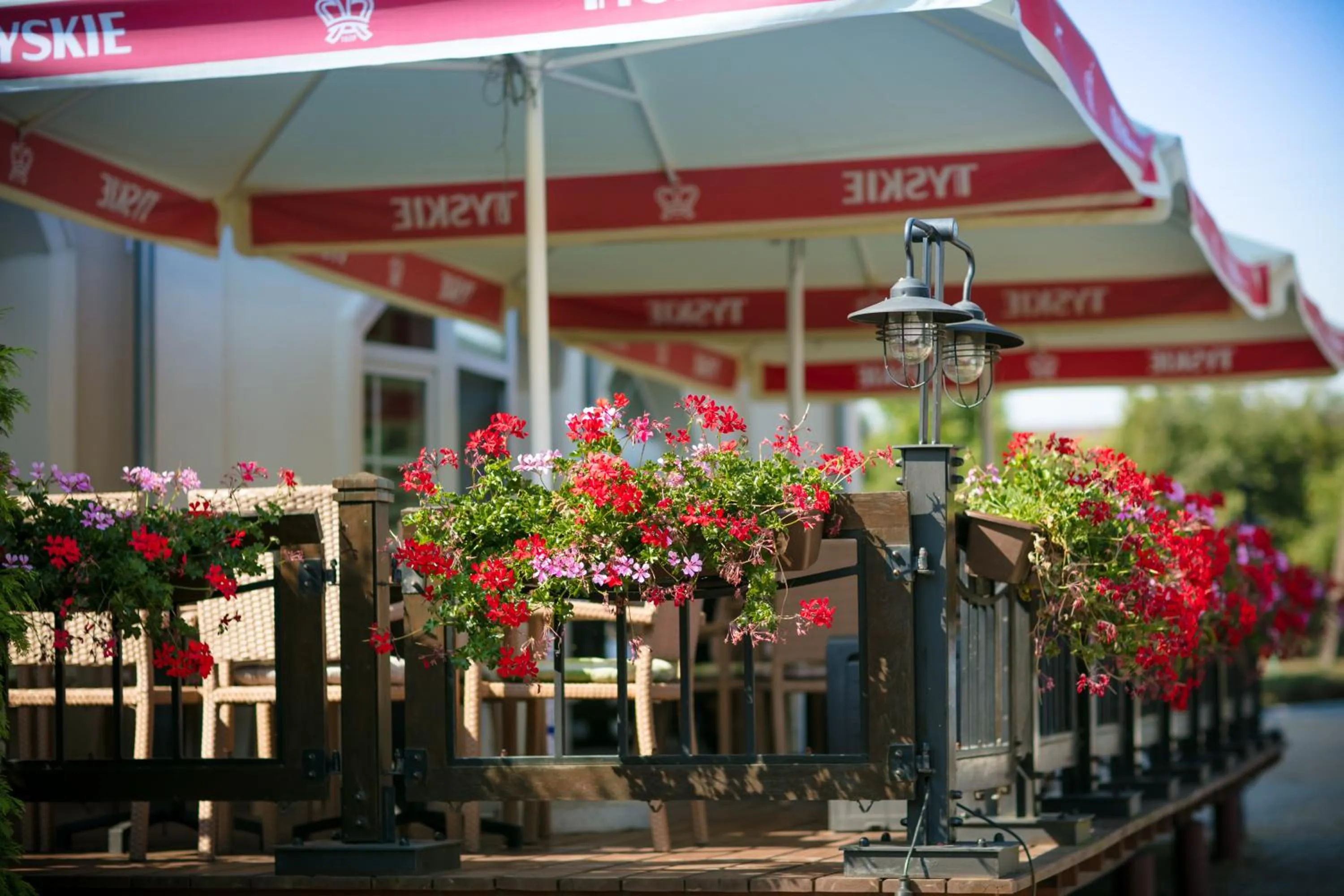 Balcony/Terrace in Hotel Onyx