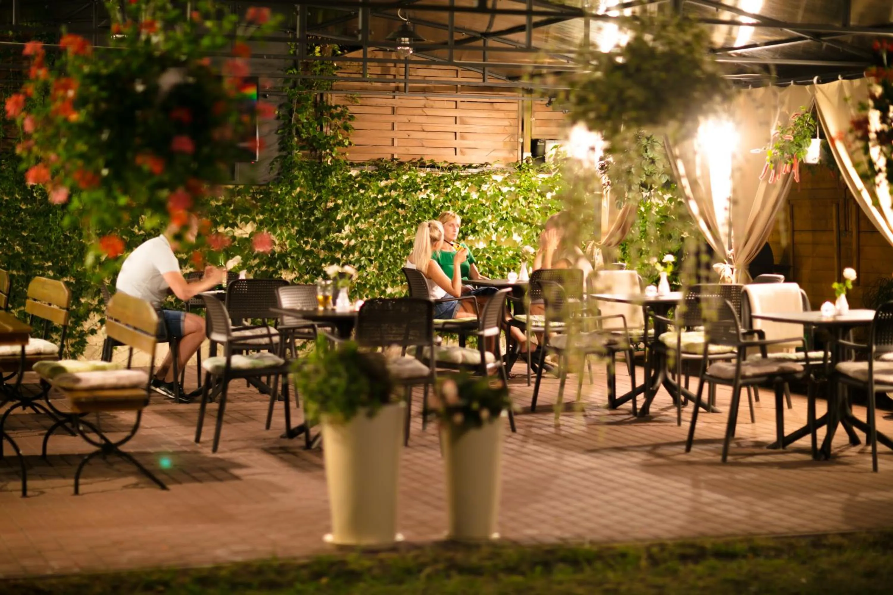 Evening entertainment in Hotel Onyx