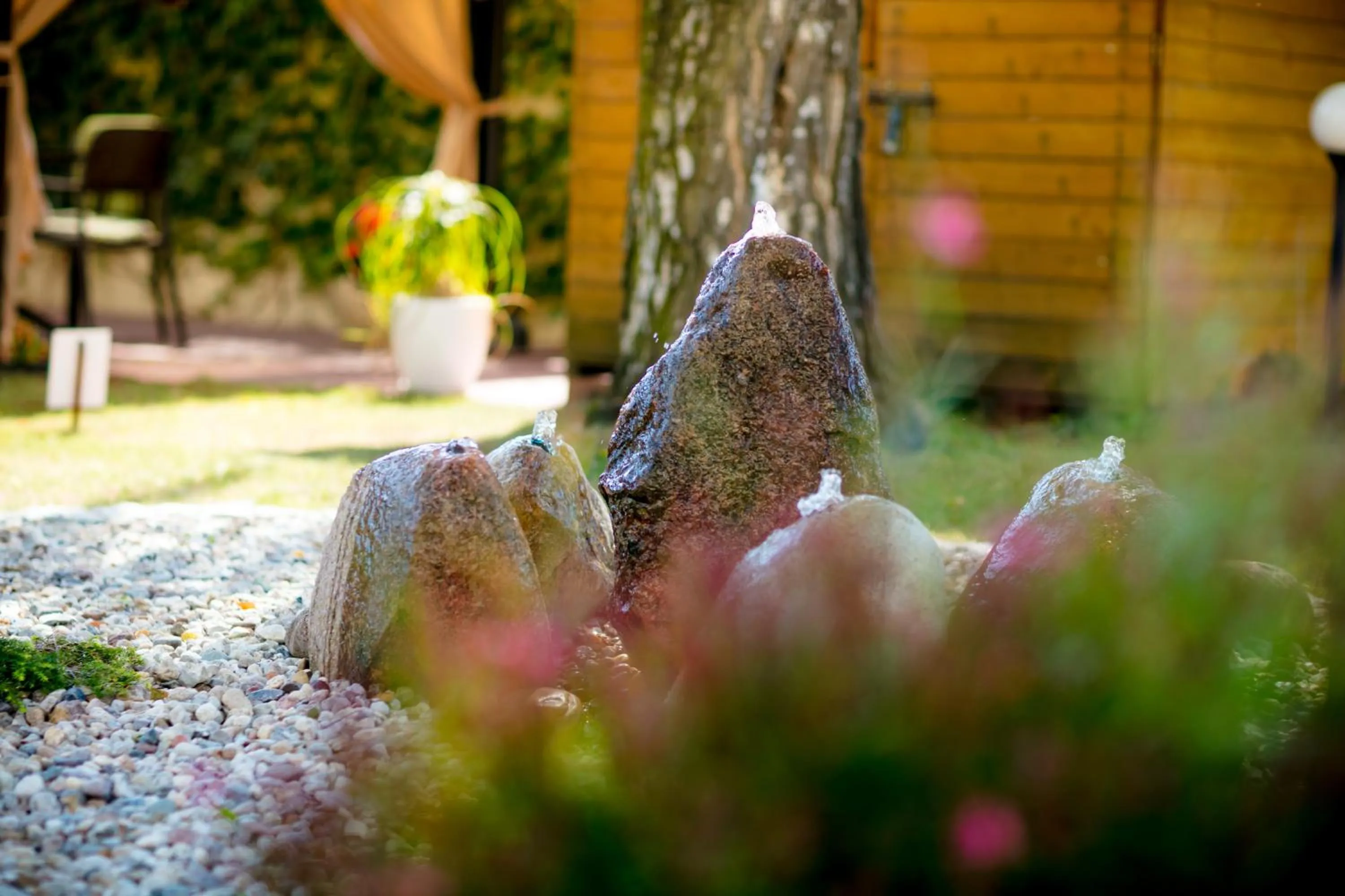 Garden in Hotel Onyx