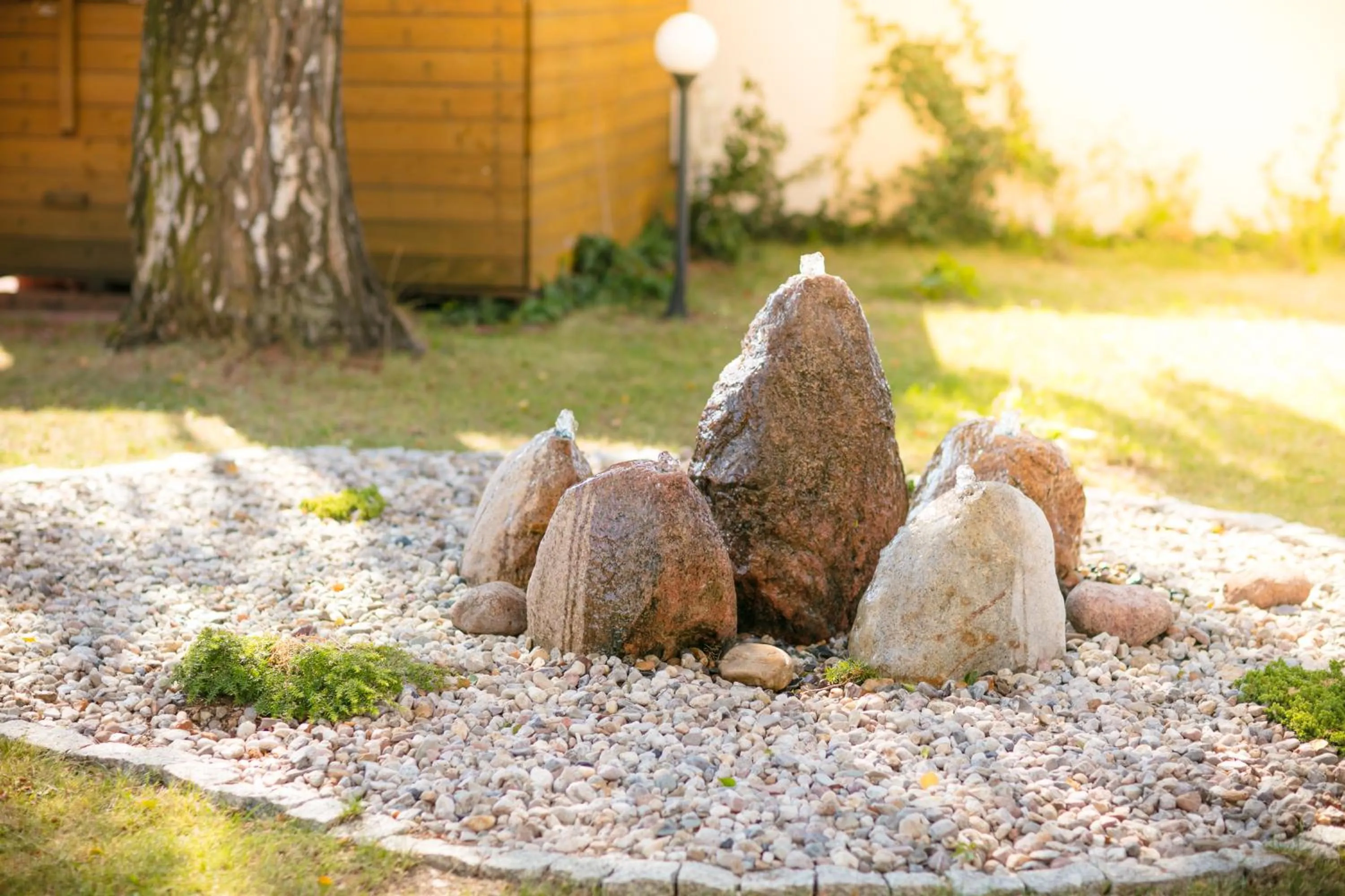 Garden in Hotel Onyx