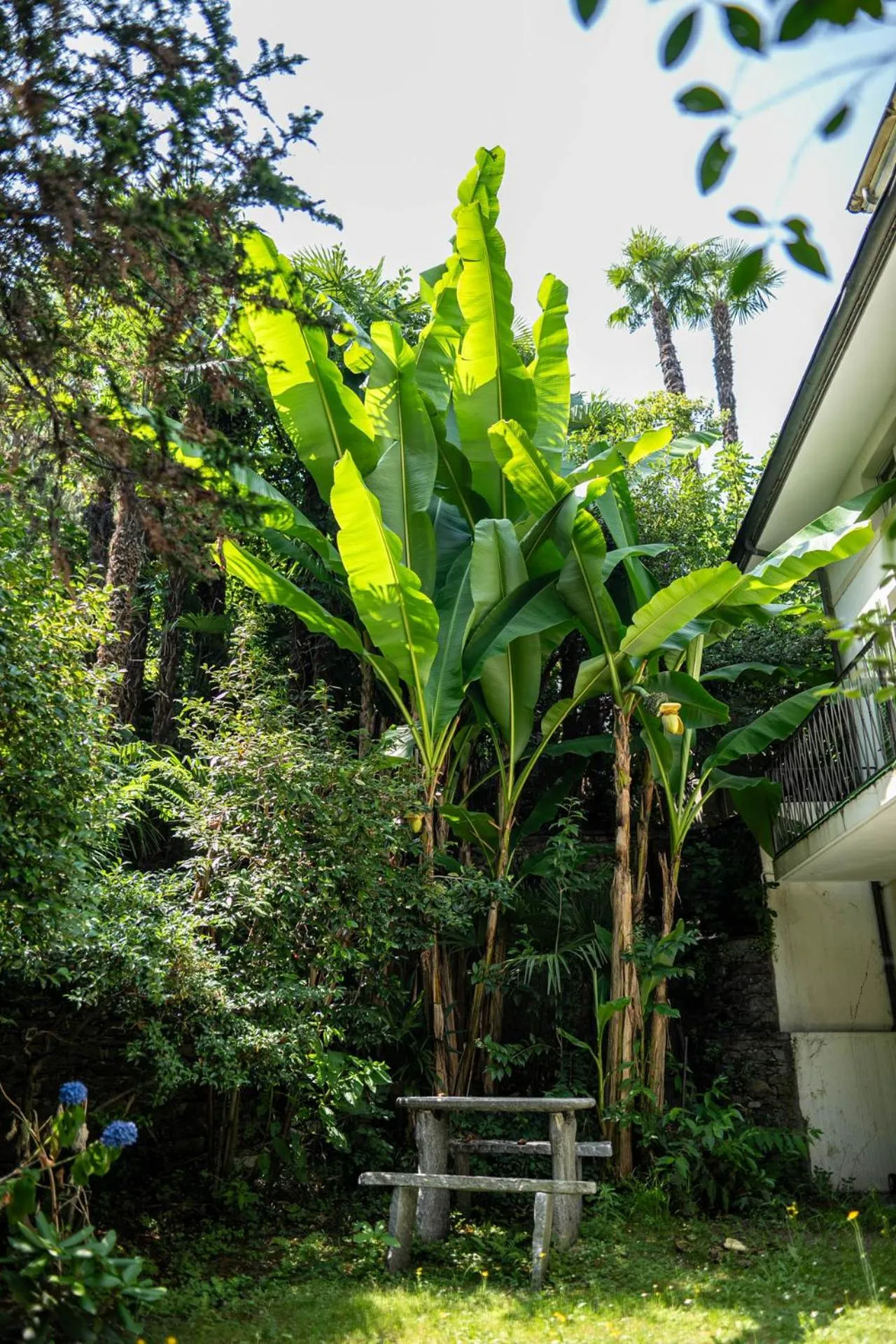 Easy Stay by Hotel La Perla