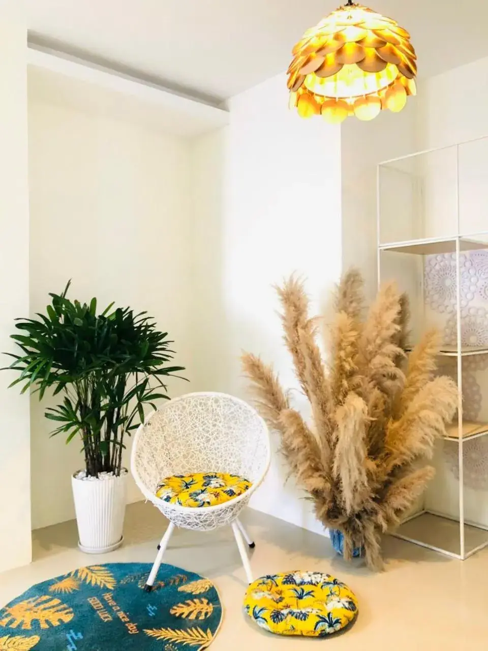 Căn hộ Sơn Thịnh - Homestay Căn hộ Sơn Thịnh - Homestay