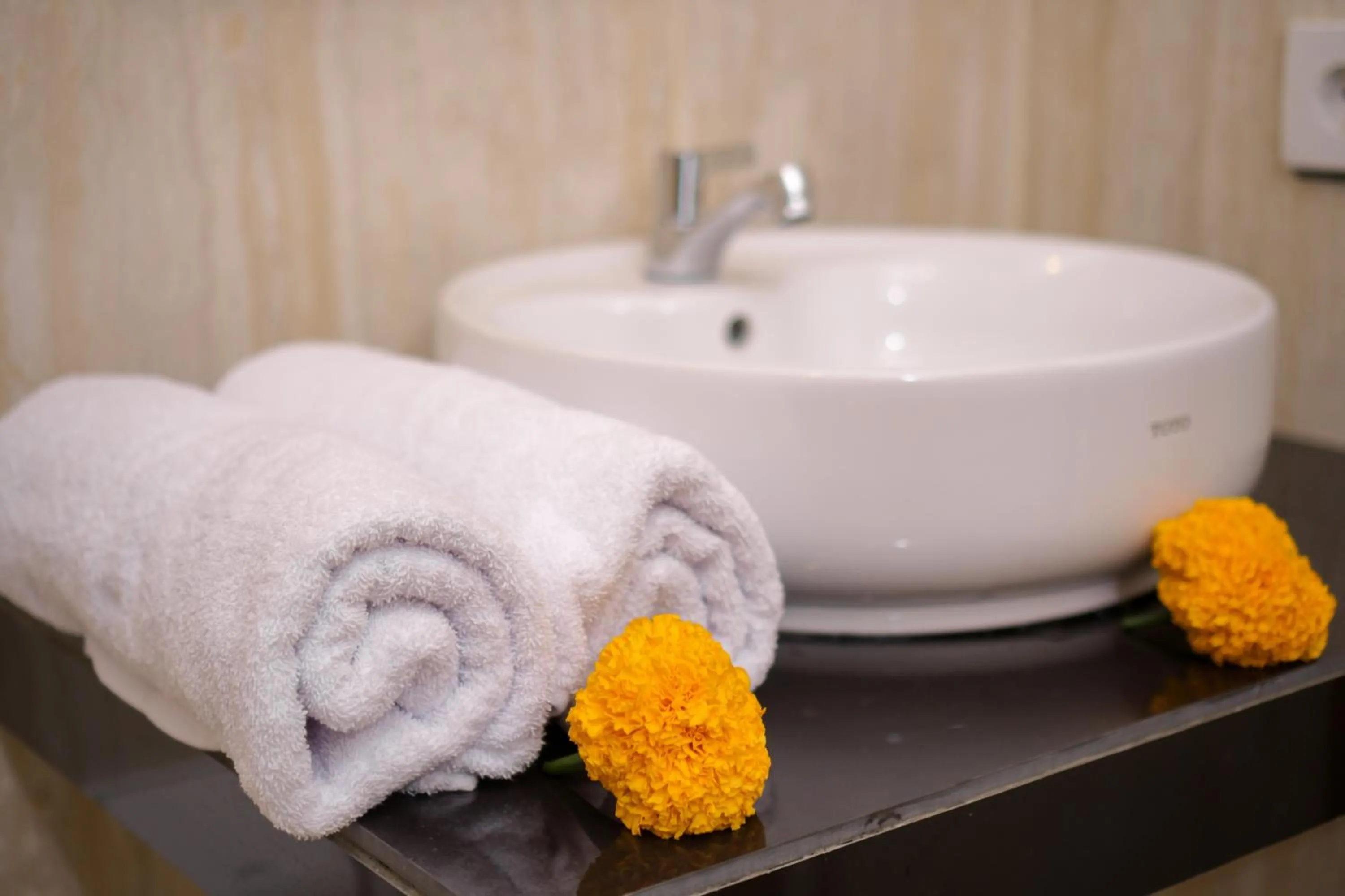 Area and facilities in Hidden Padma Retreat