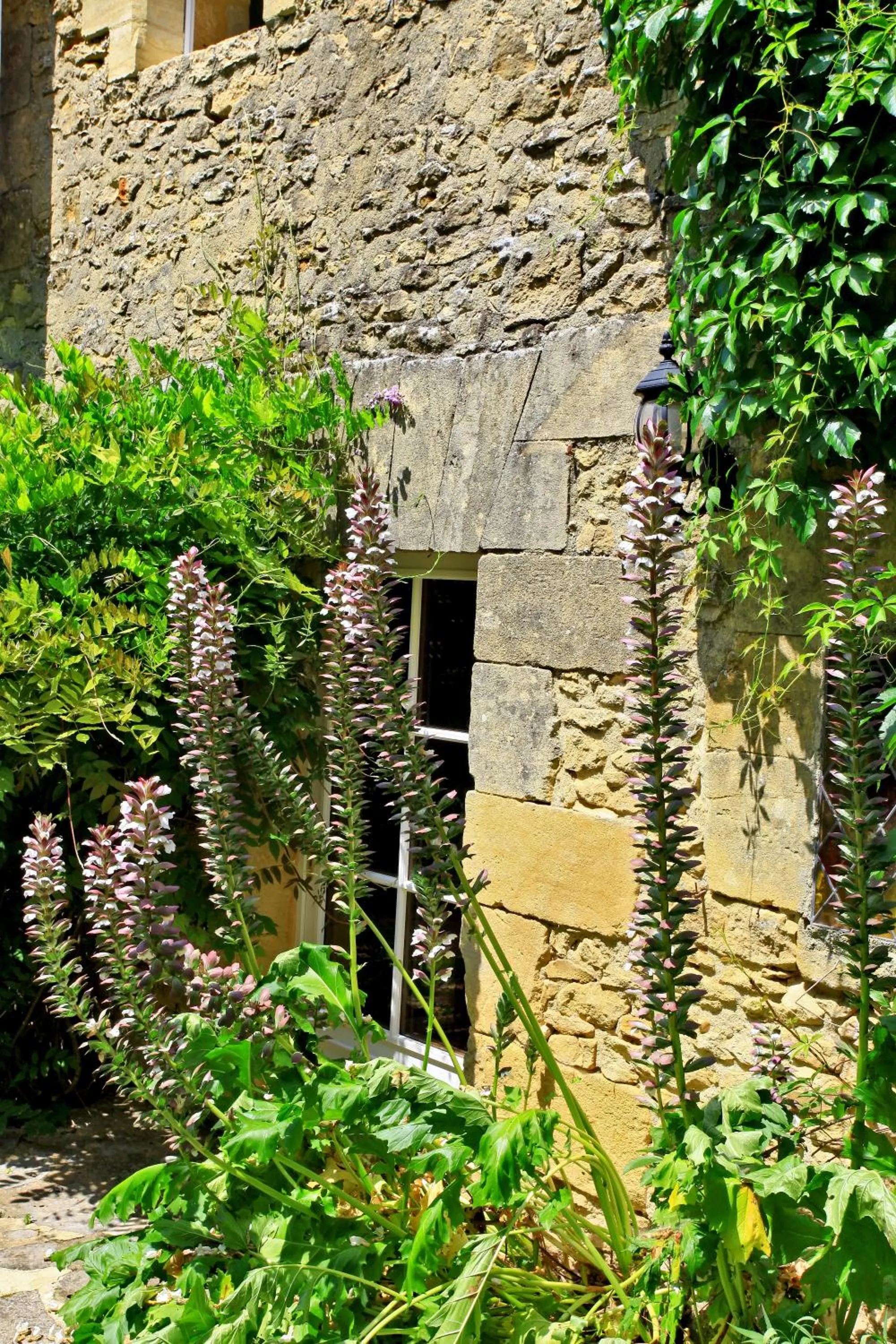 Facade/entrance in Hotel La Maison des Peyrat