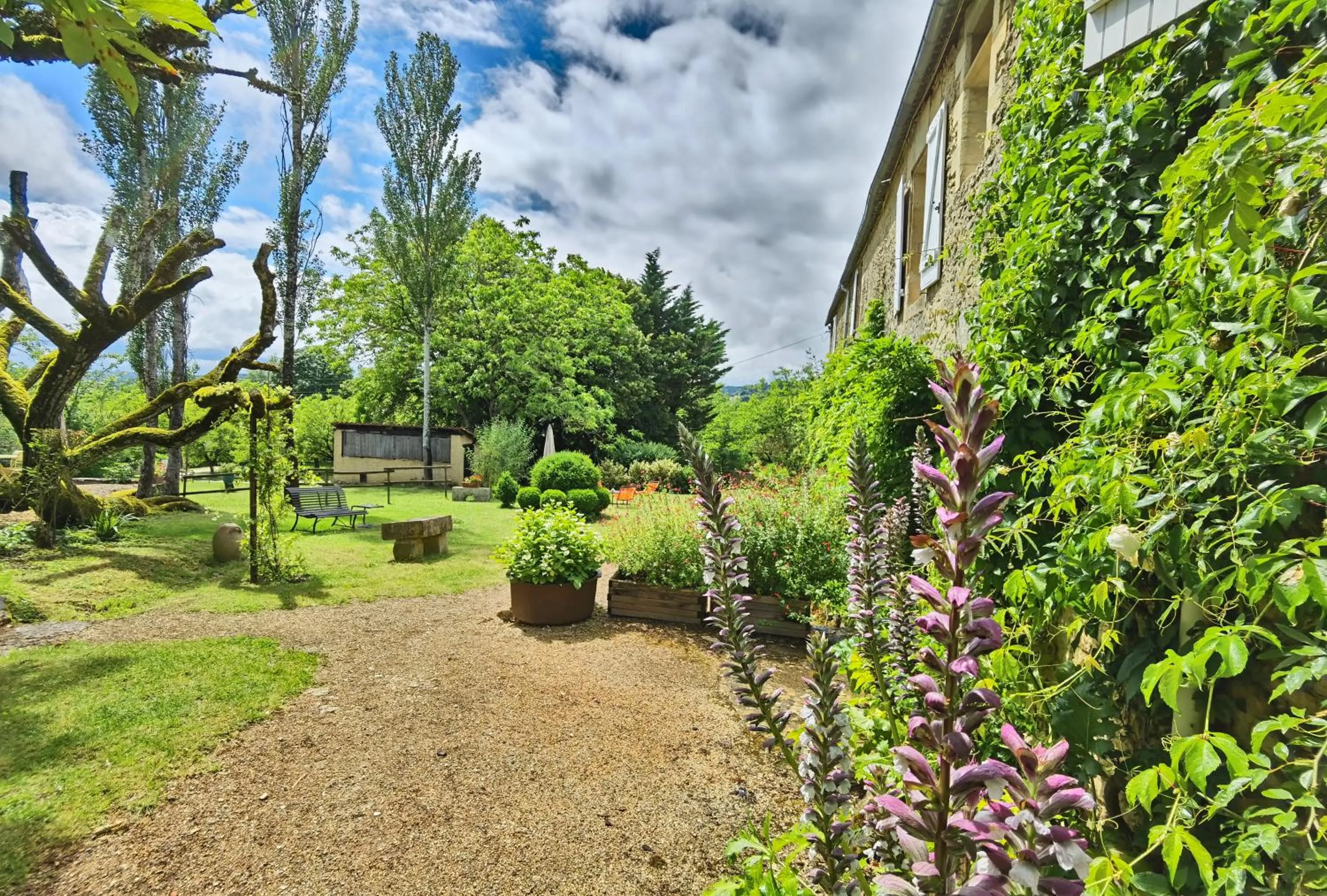 Patio in Hotel La Maison des Peyrat