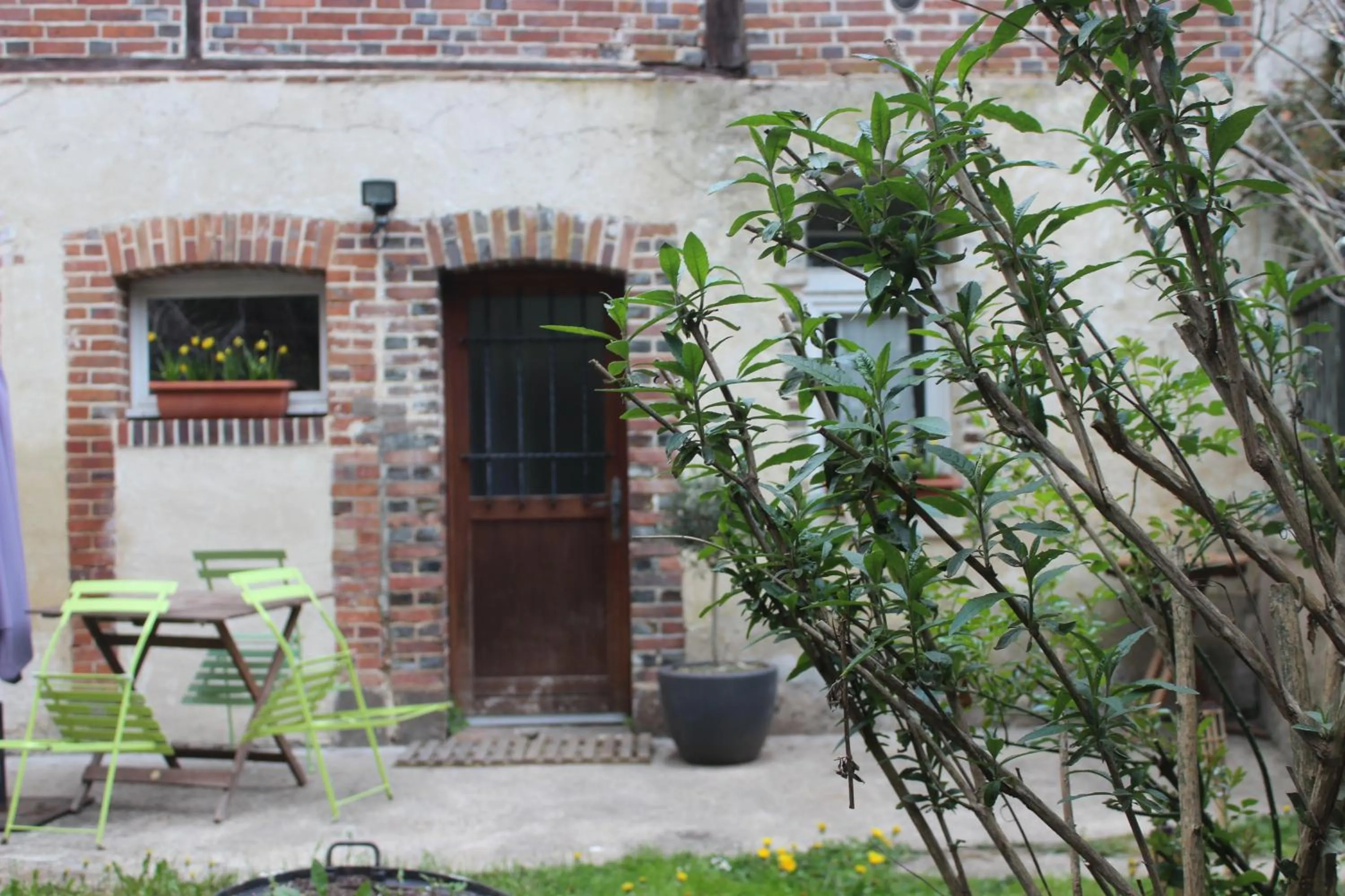 Garden in Il était une fois un jardin