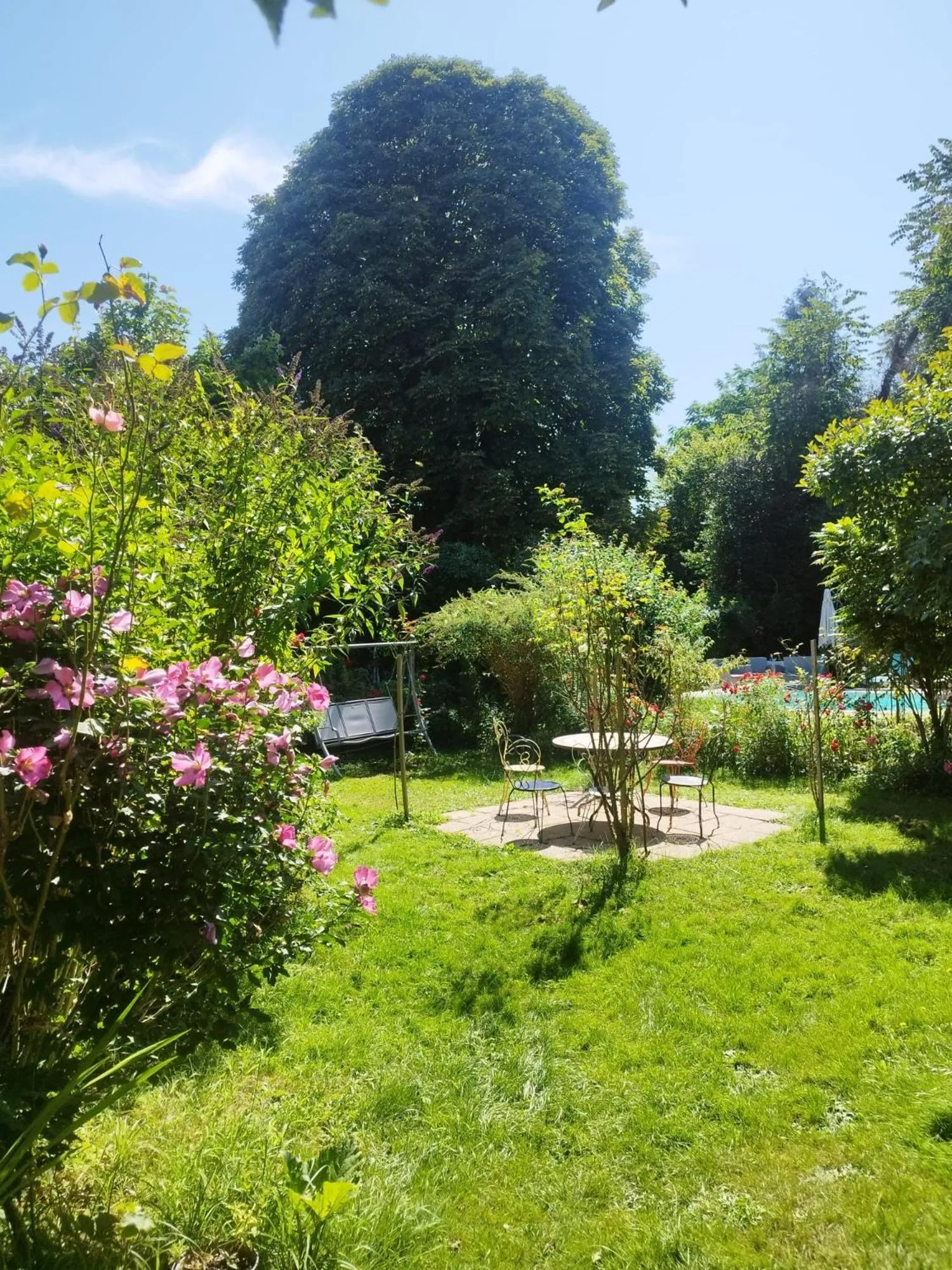Garden in Il était une fois un jardin