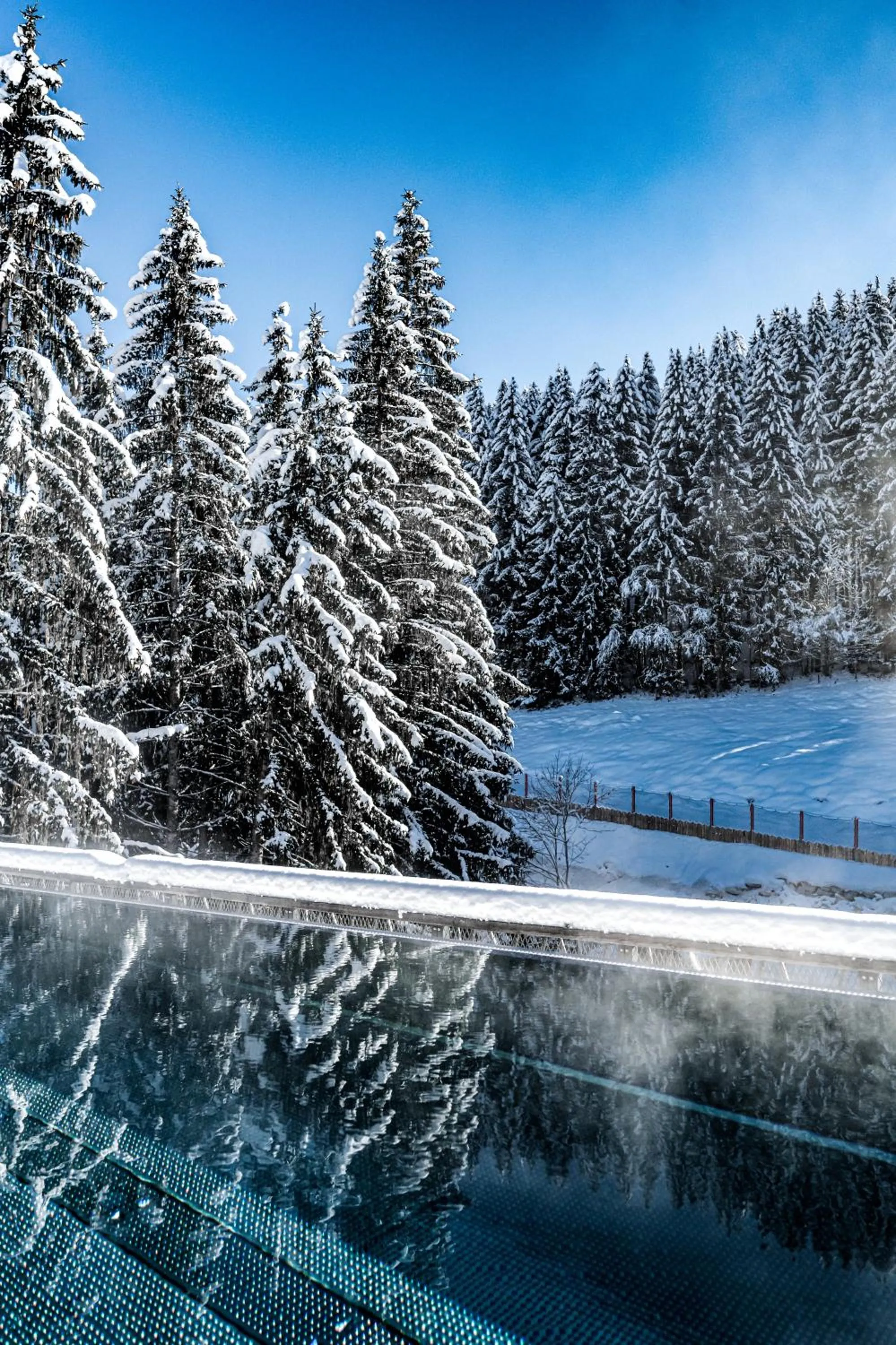 Natural landscape in ALMMONTE PRÄCLARUM SUITES - Casual Boutique Hotel