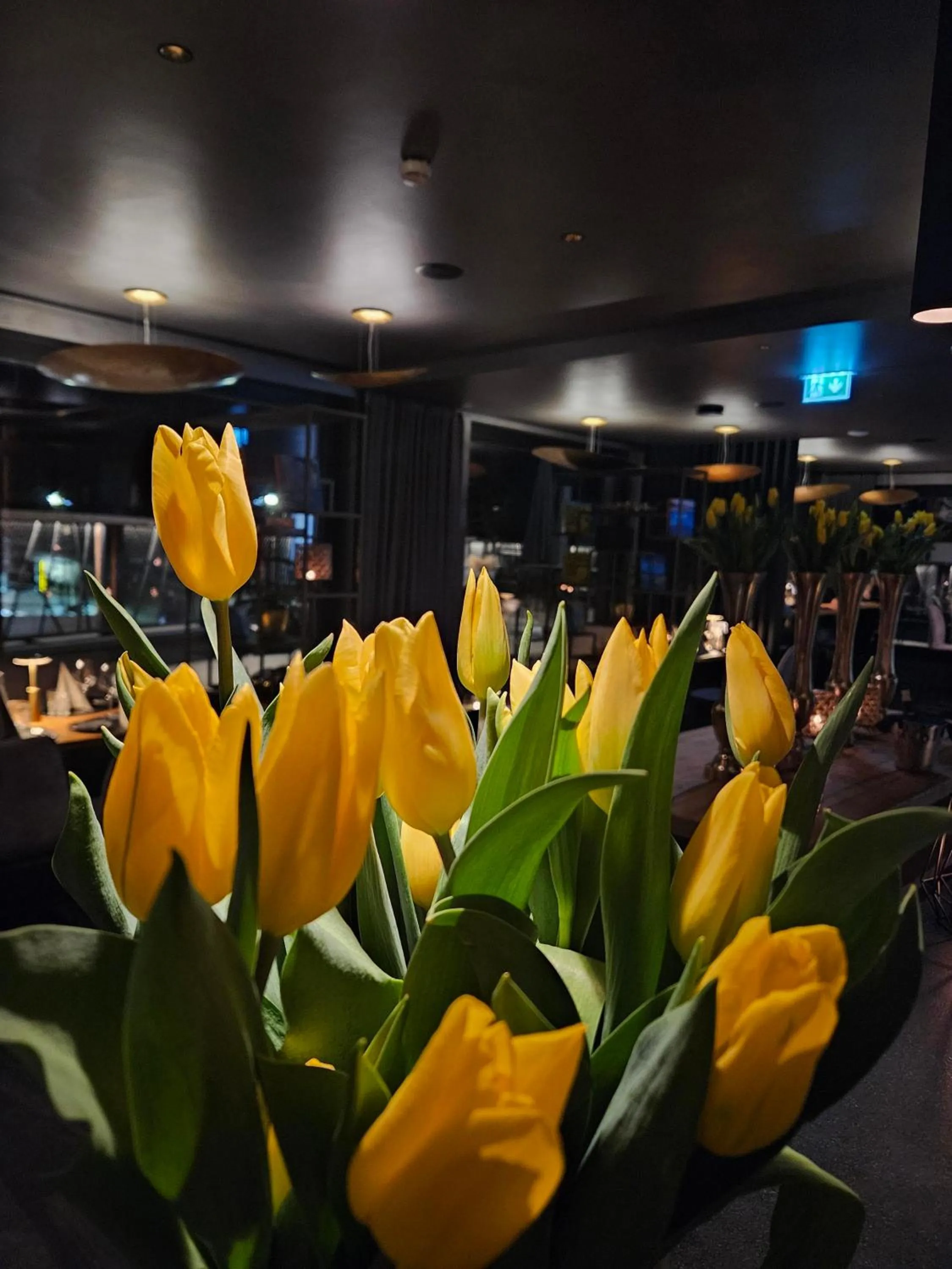 ALMMONTE PRÄCLARUM SUITES - Casual Boutique Hotel