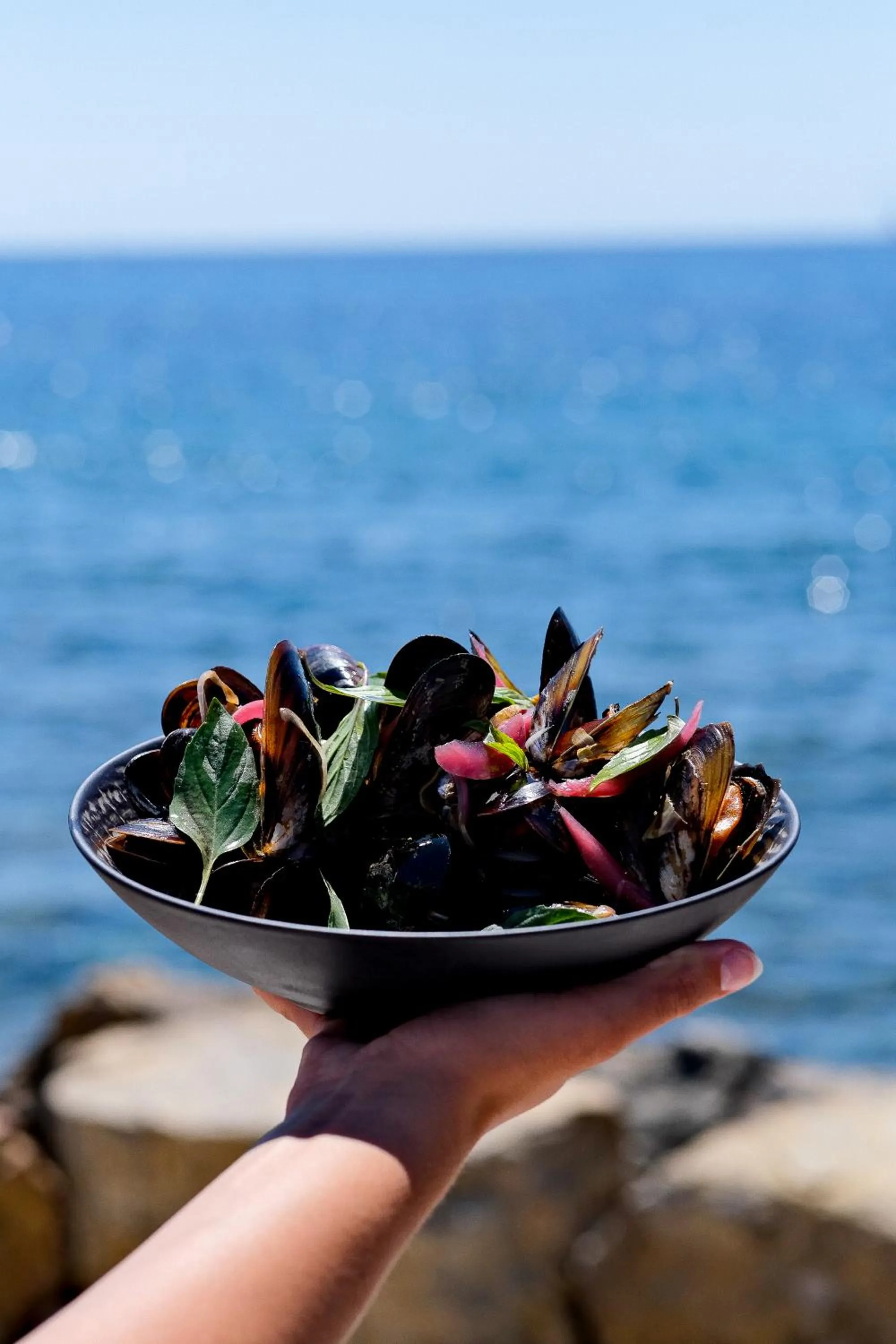 Day in Hotel Plein Large