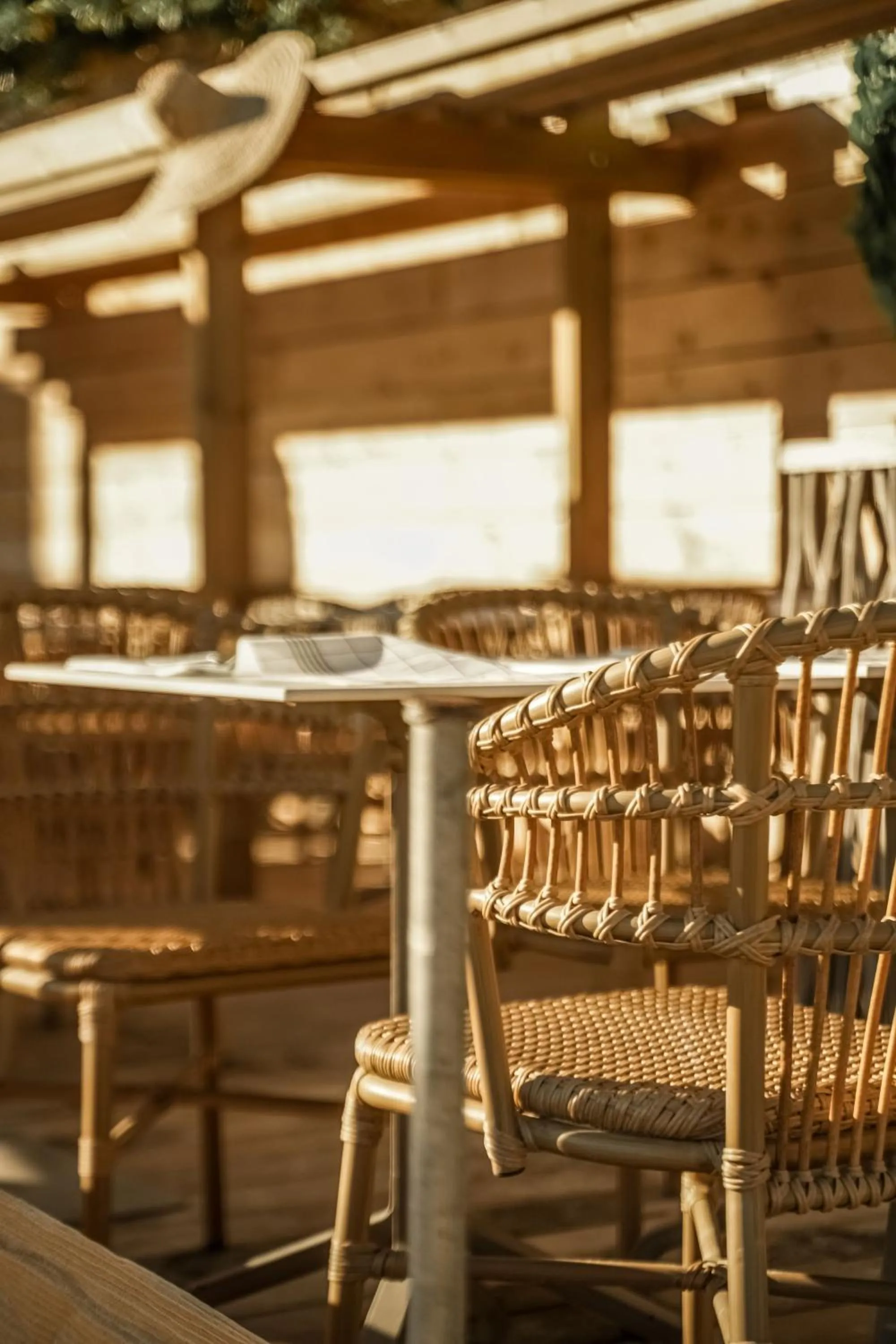 Patio in Hotel Plein Large