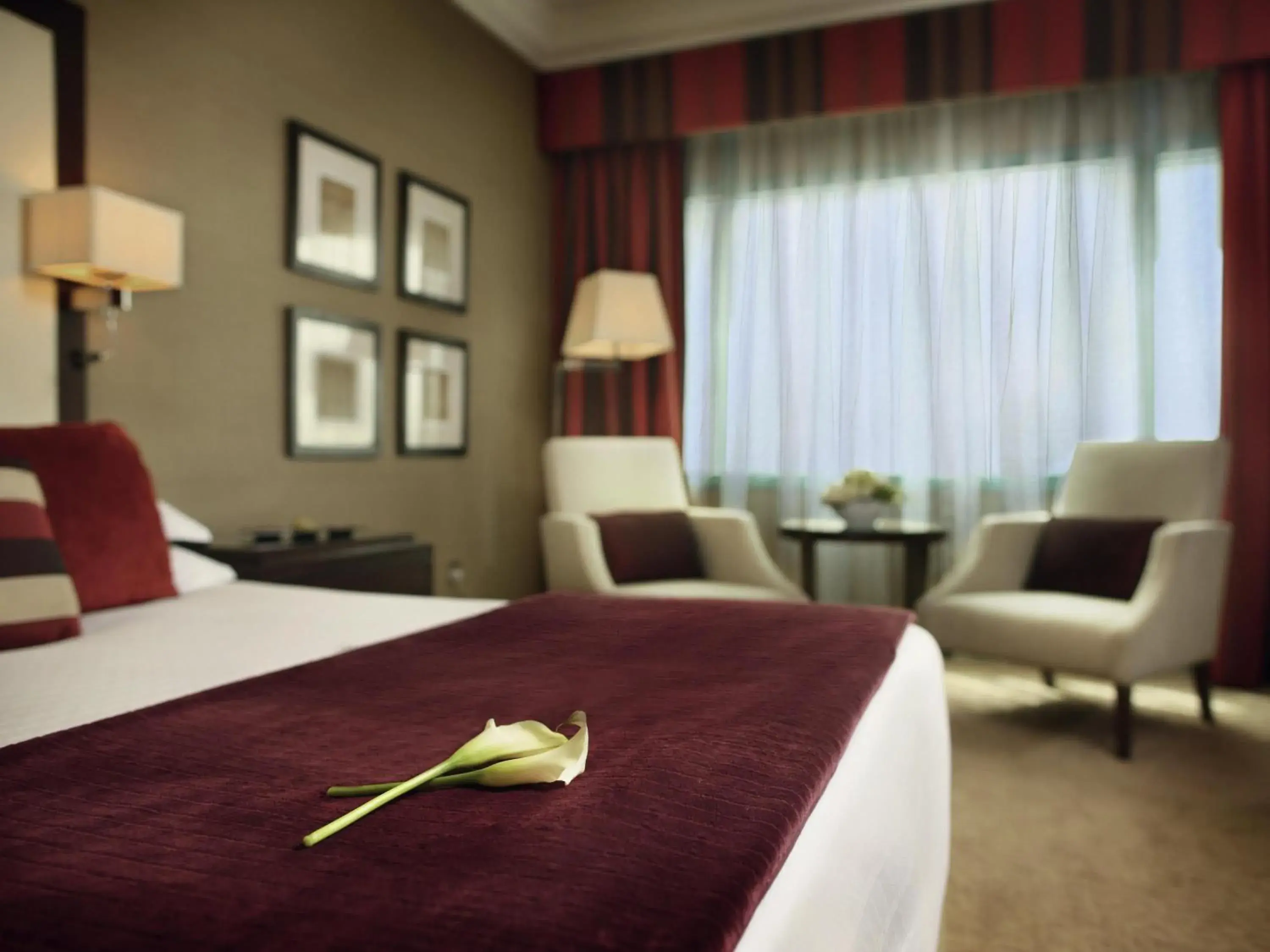 Executive King Room - includes Premium Guest Benefits in Mövenpick Grand Al Bustan Executive King Room - includes Premium Guest Benefits in Mövenpick Grand Al Bustan