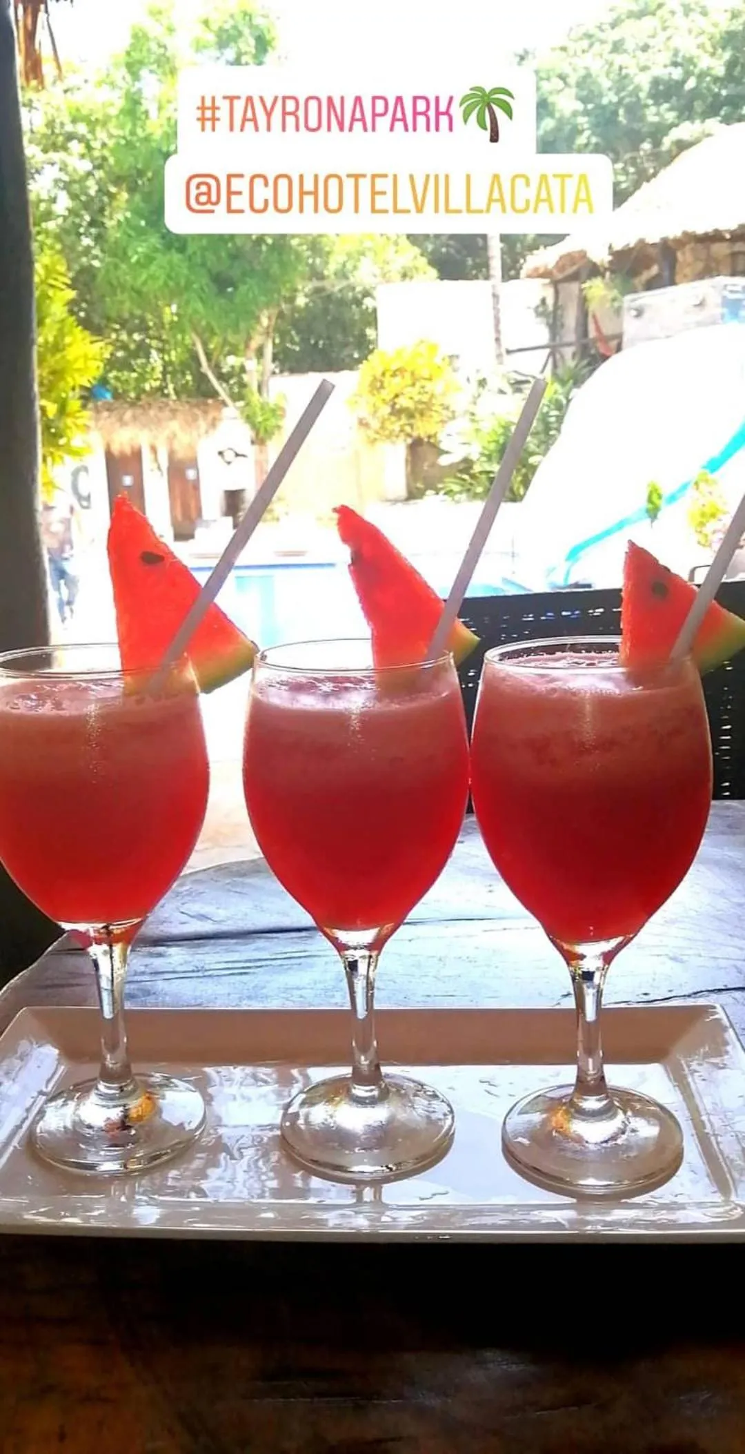 Restaurant/places to eat in Hostal Villa Cata