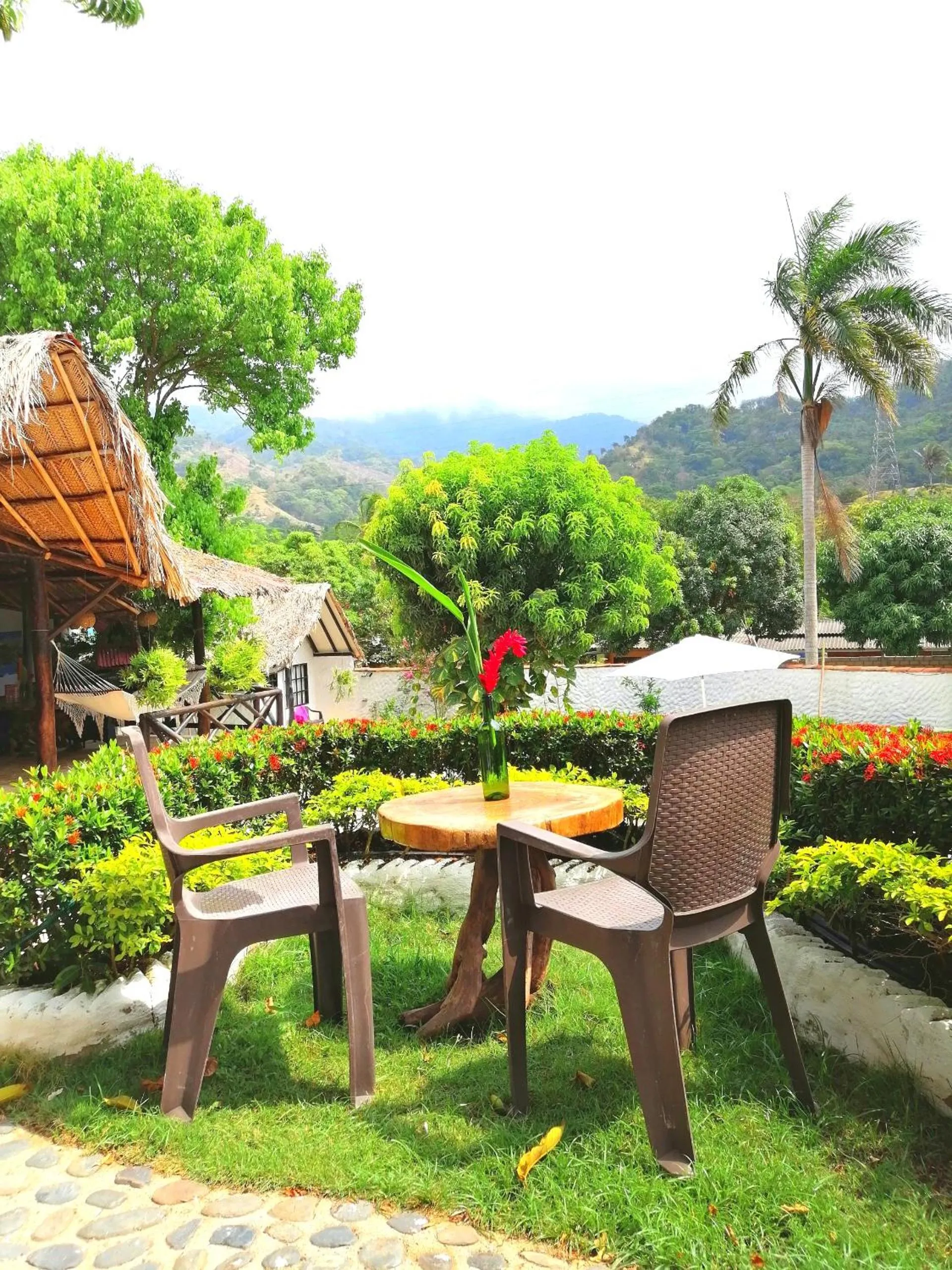 Garden in Hostal Villa Cata