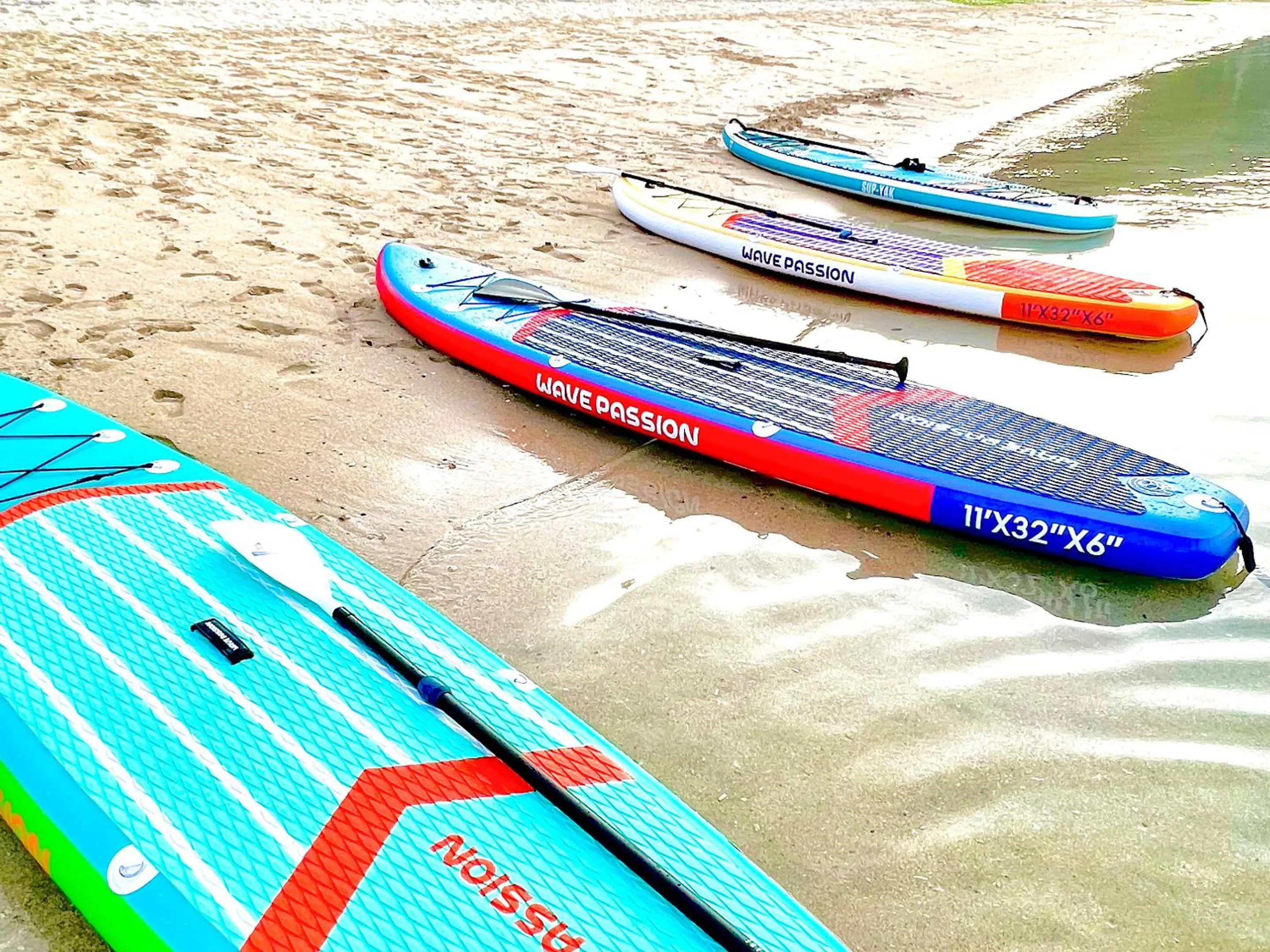 Sports in Le Grand Bleu