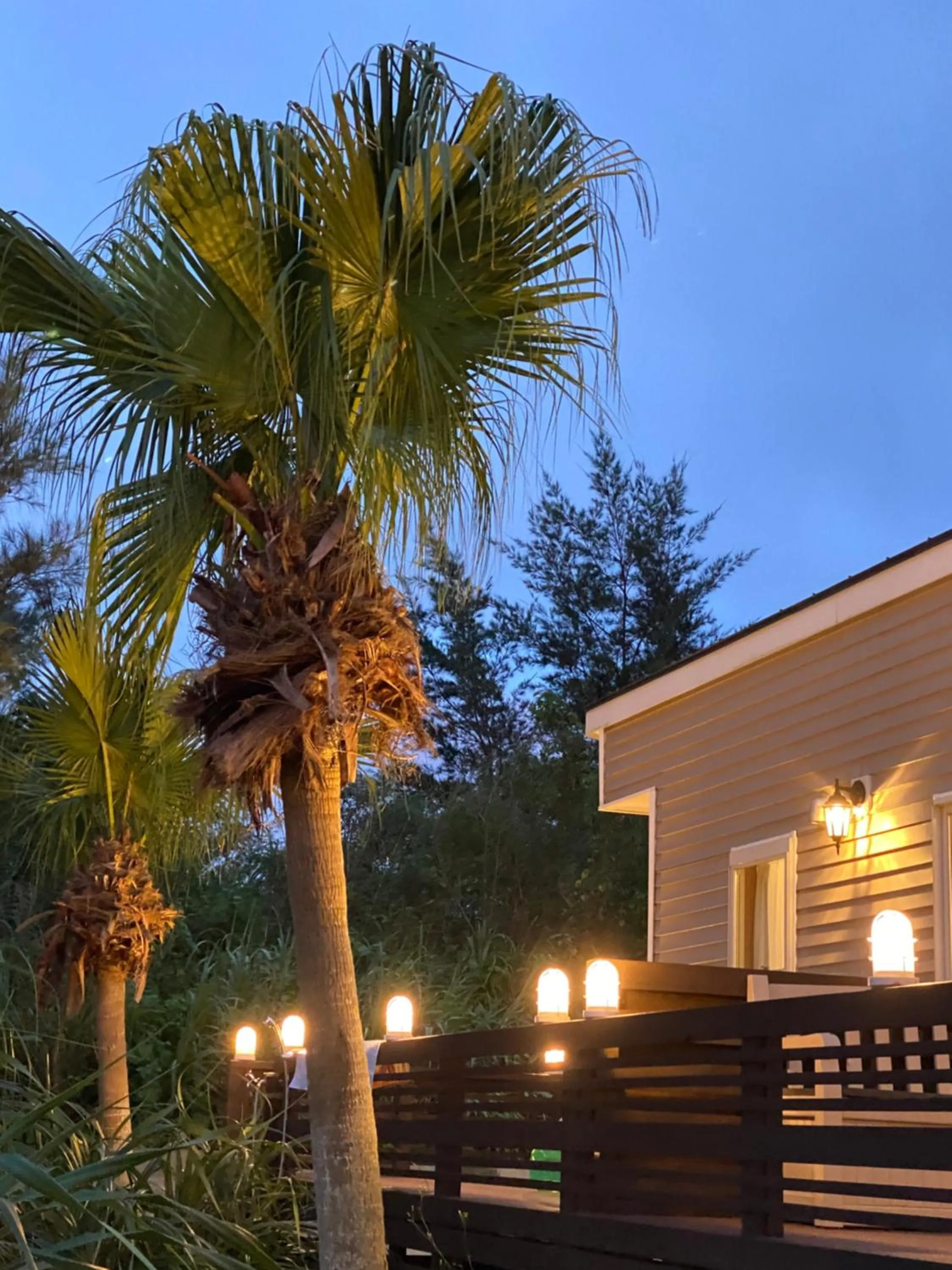 Balcony/Terrace in Le Grand Bleu