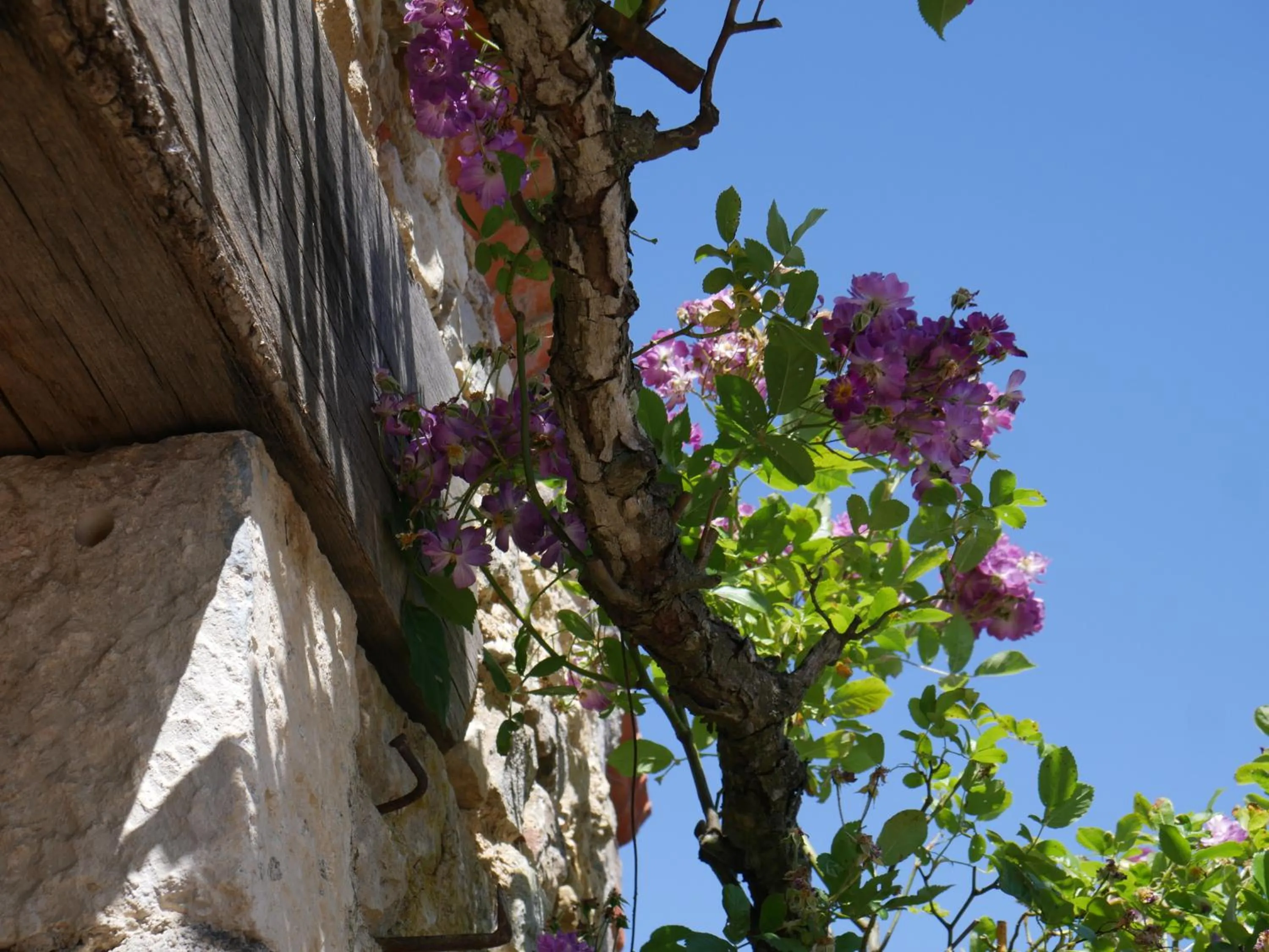 Le Tamaris Chambres d'hôtes