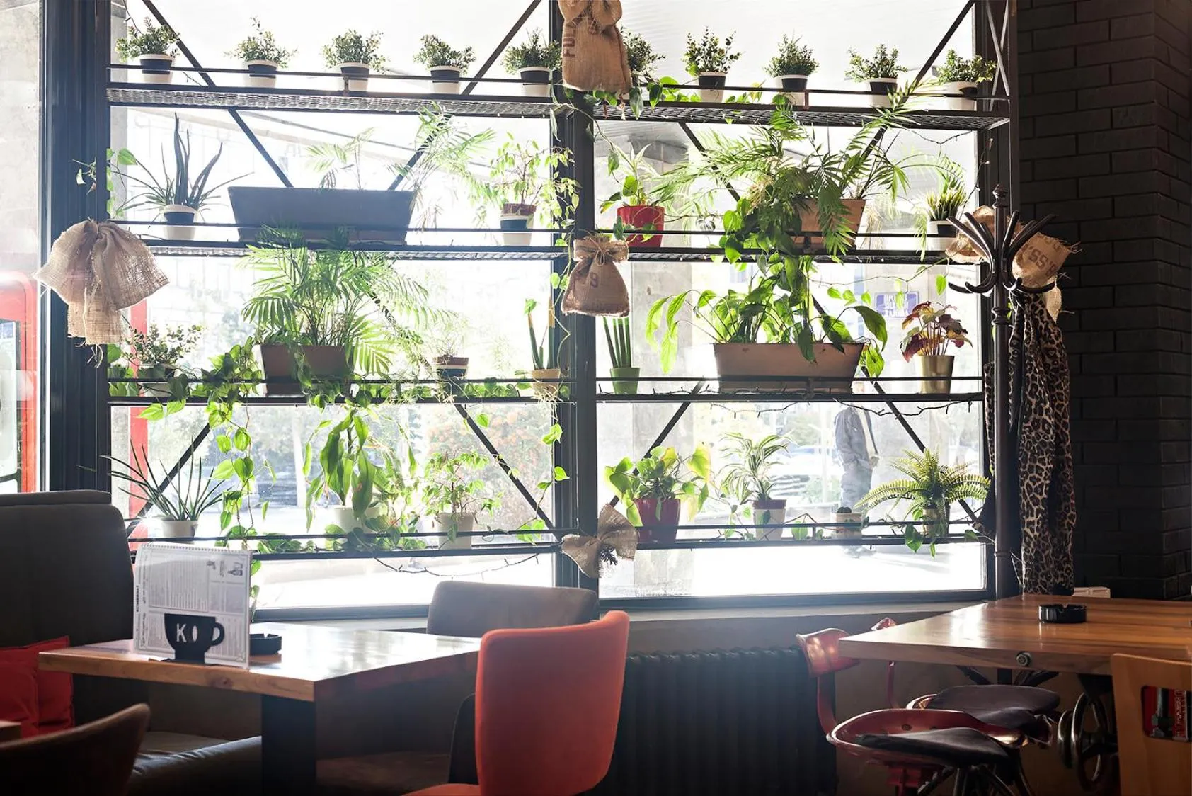 Restaurant/places to eat in Kombinat Rooms City Center