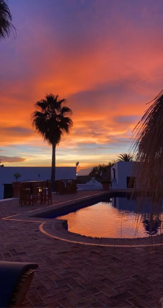 Garden view in Cortijo Boutique Marbella