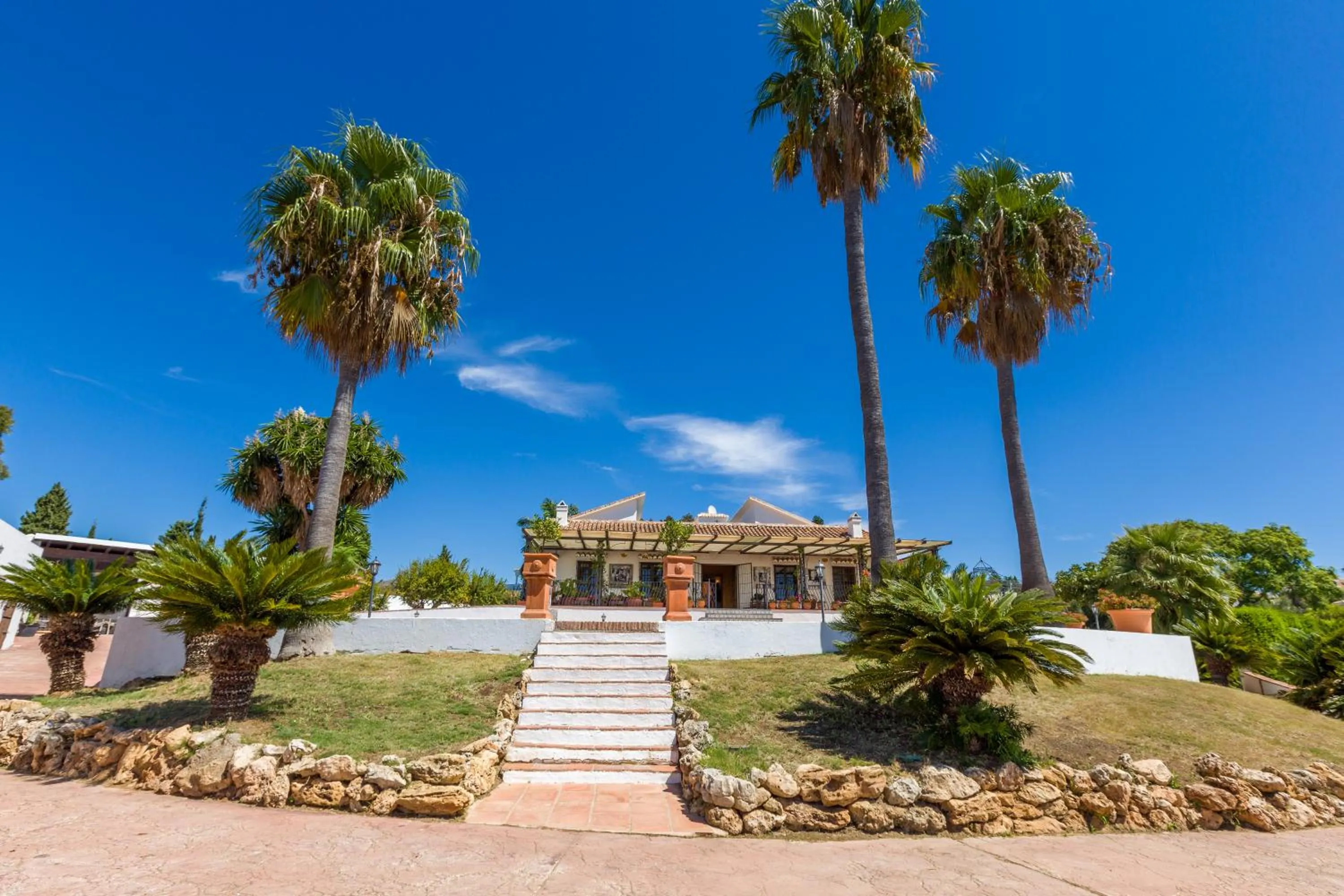 Garden in Cortijo Boutique Marbella