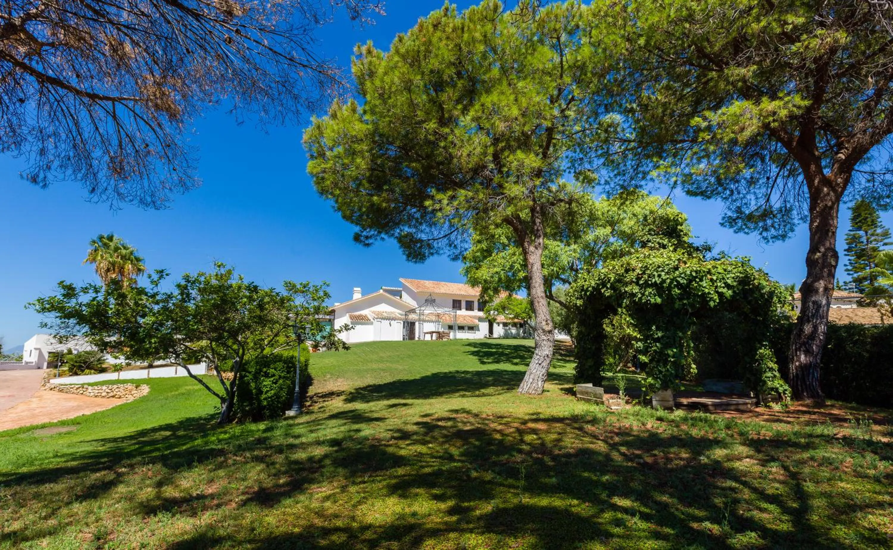 Garden in Cortijo Boutique Marbella