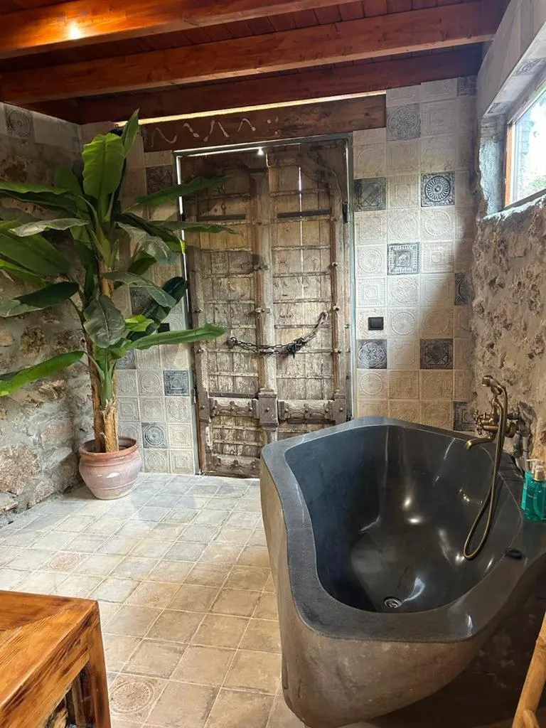 Hot Tub in Cortijo Boutique Marbella