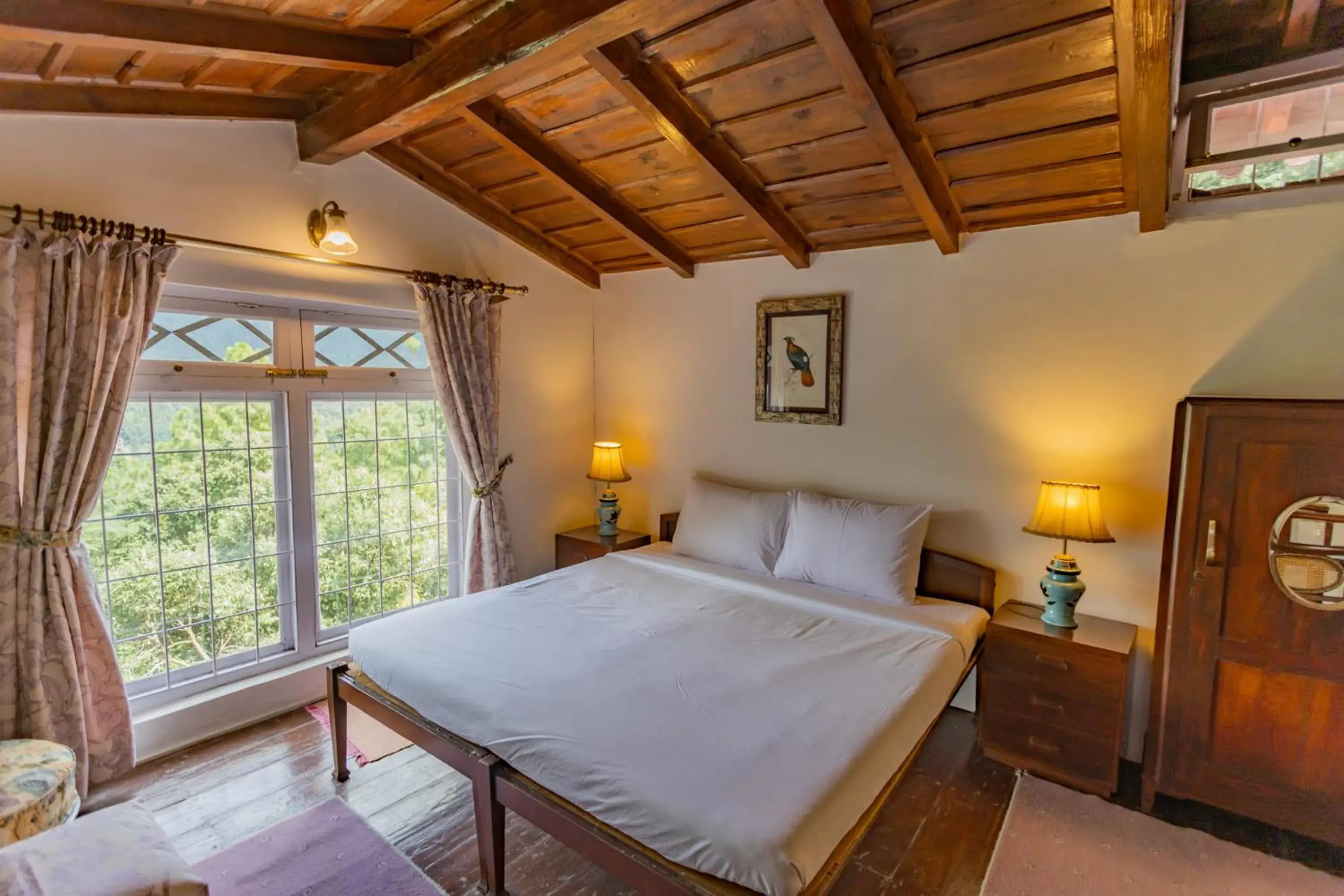 Sunbird in Seclude Ramgarh Taradale Sunbird in Seclude Ramgarh Taradale