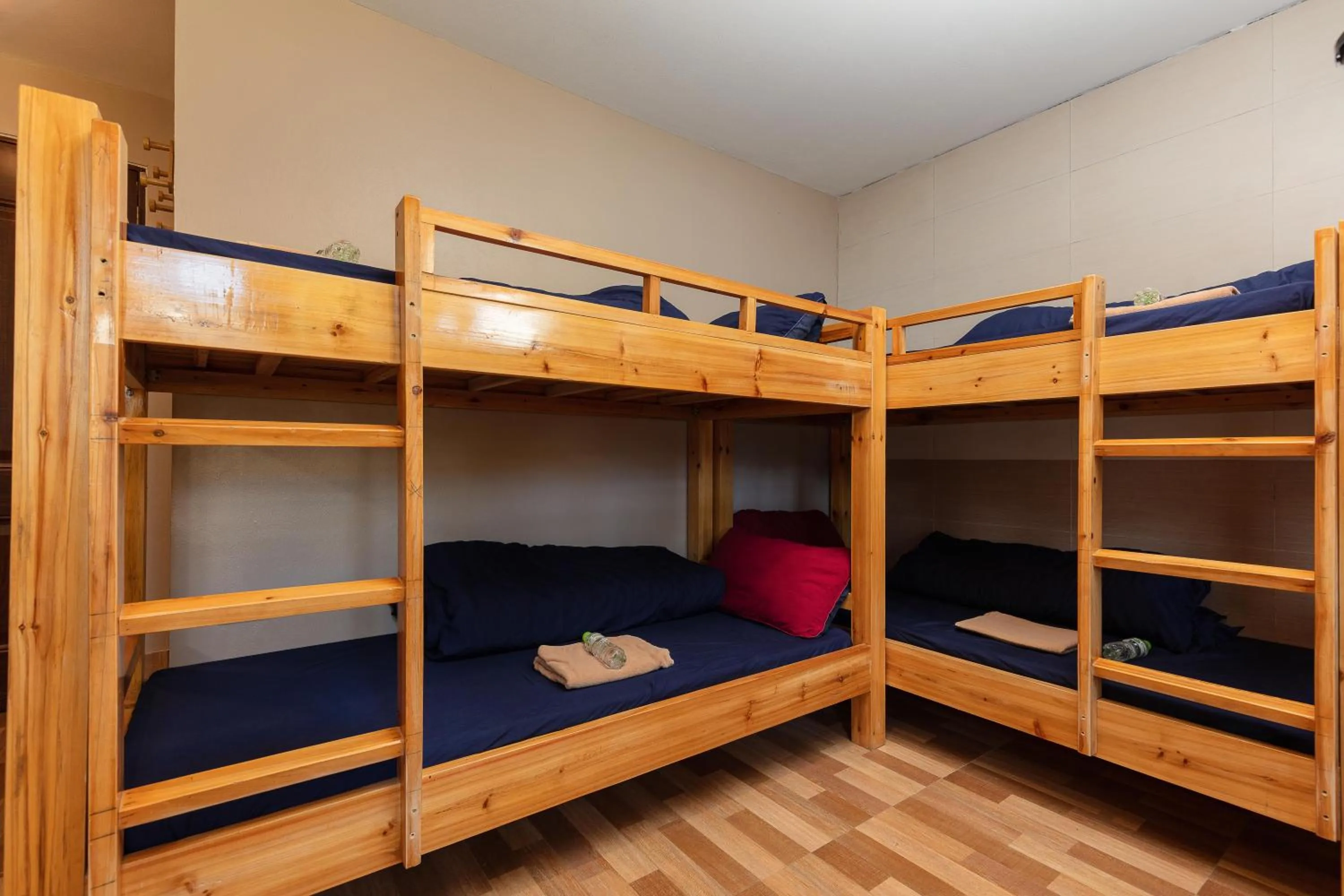 bunk bed, Bed in Mega View Homestay