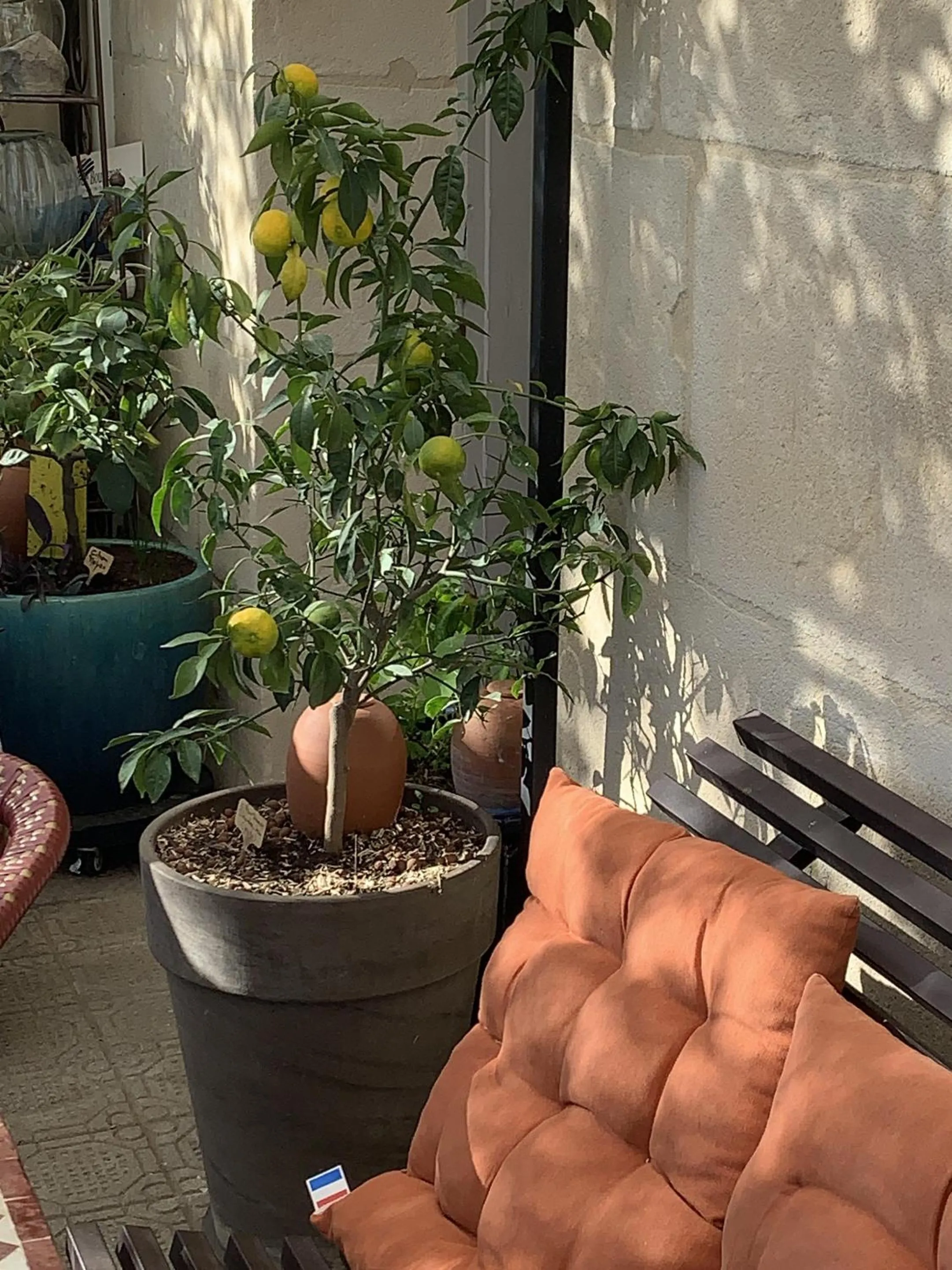 Property building in Chambre d'Hôtes Lo Componaïro