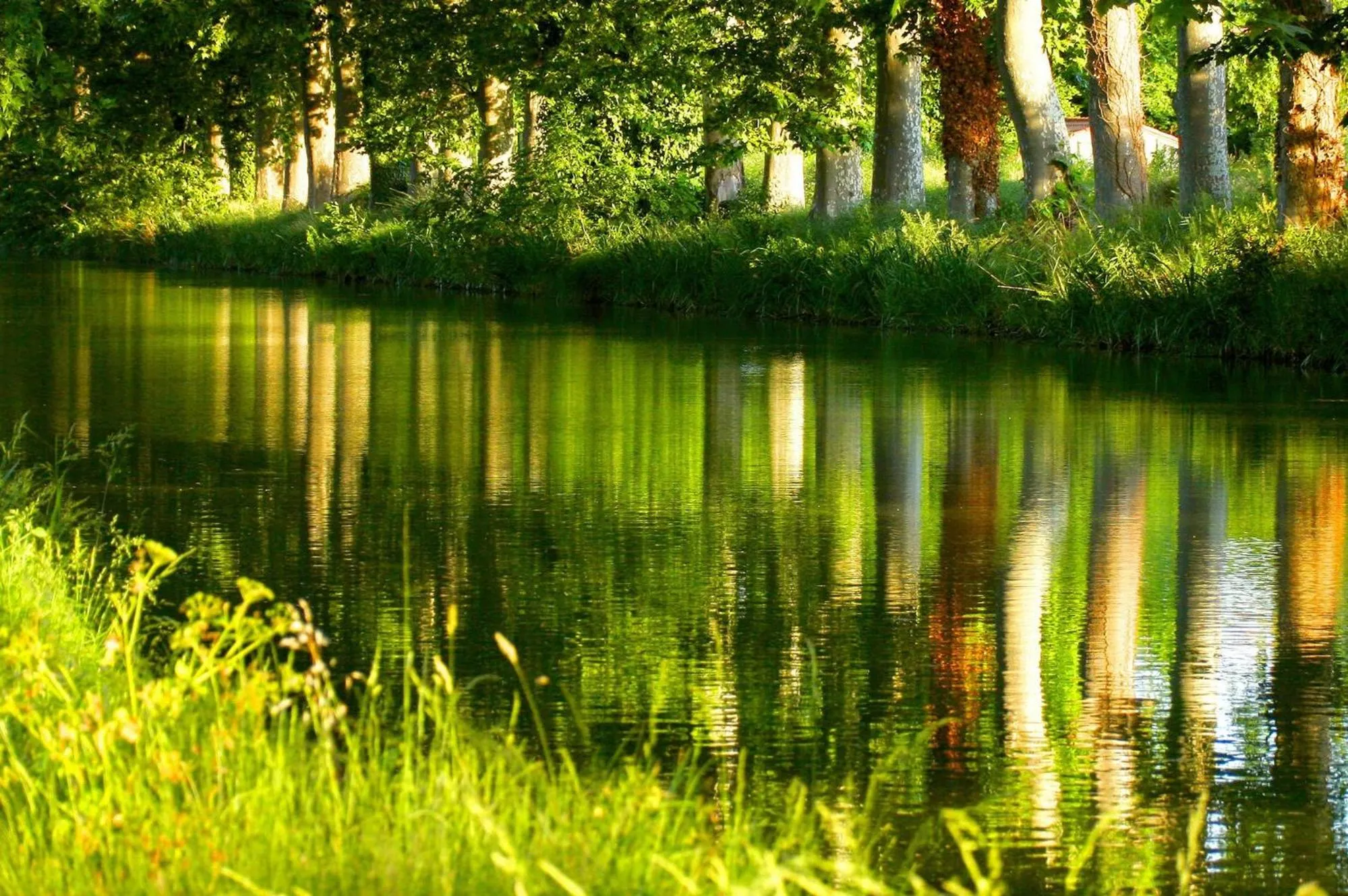 Natural landscape in hotelF1 Béziers Est