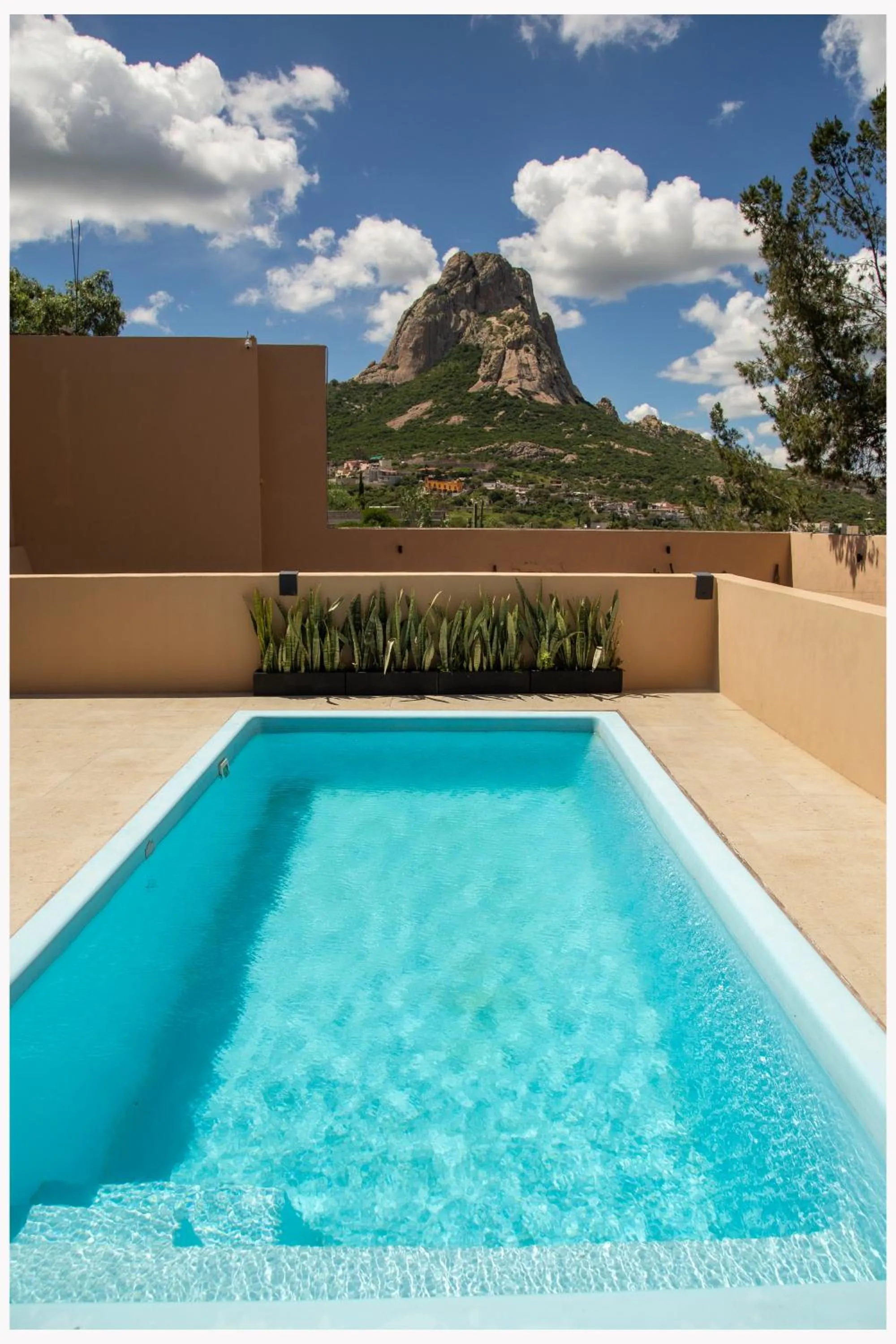 Hotel Mr Lion and SPA