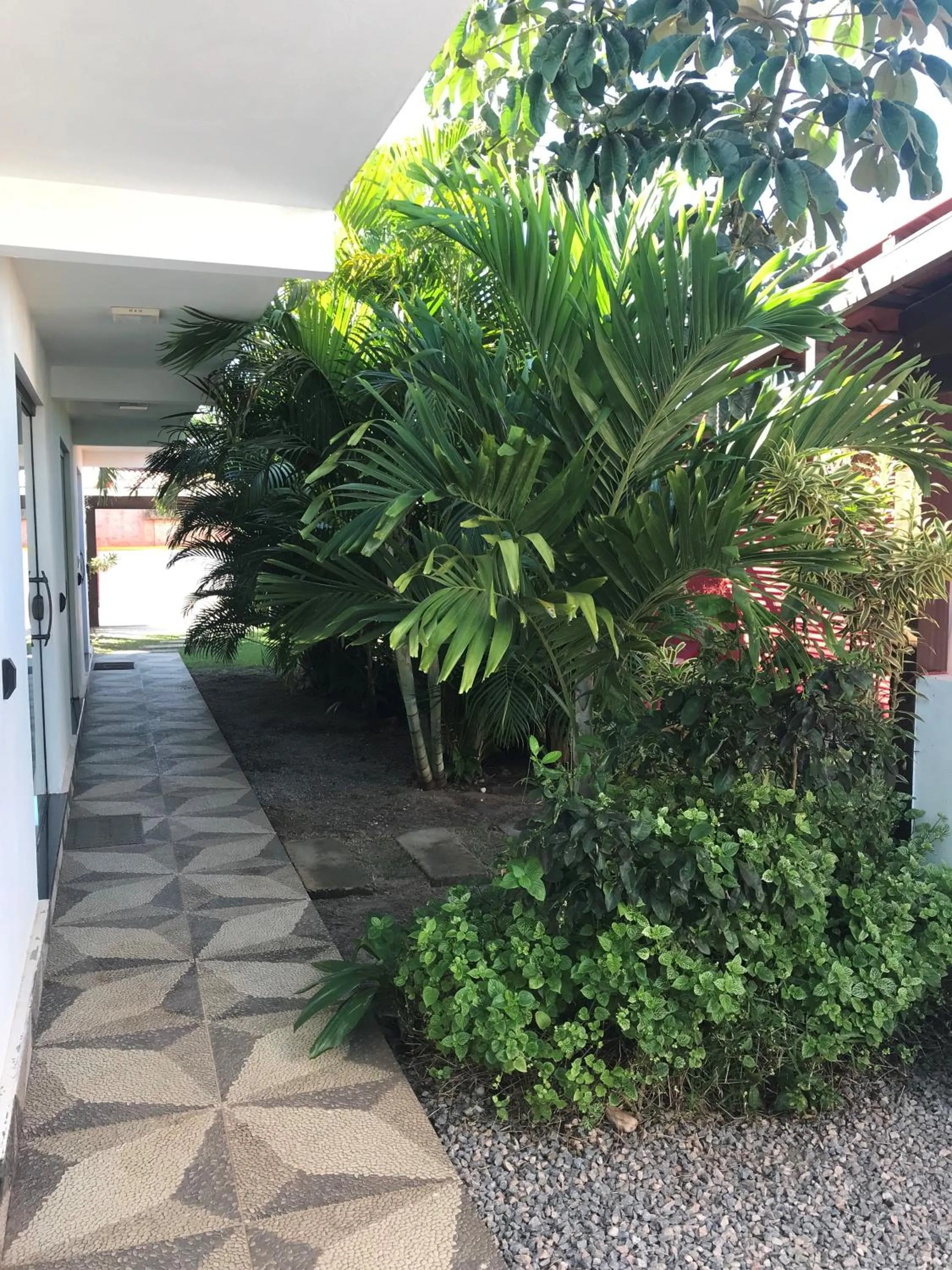 Garden in AYRE GOSTOSO POUSADA