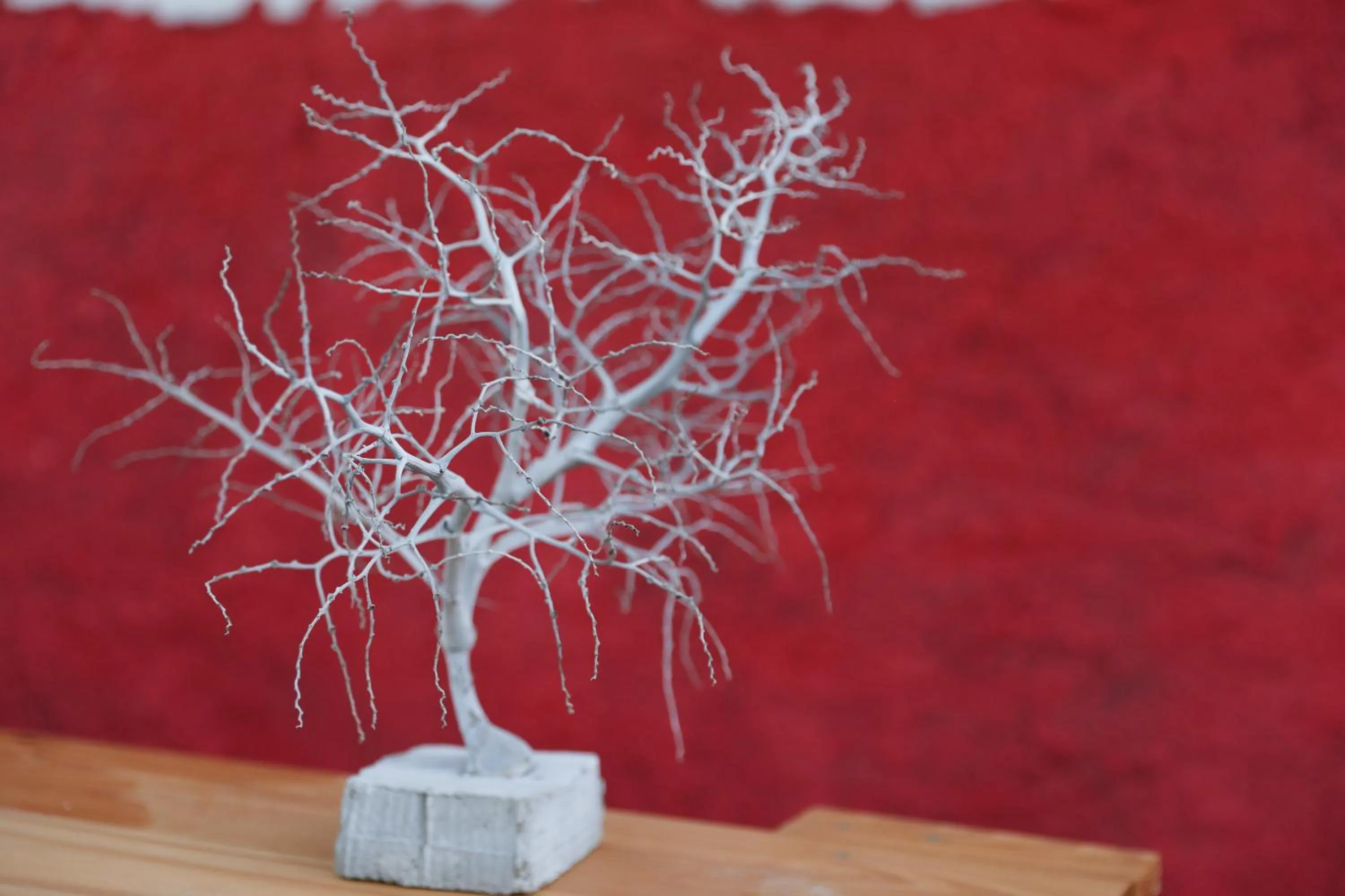 Decorative detail in AYRE GOSTOSO POUSADA