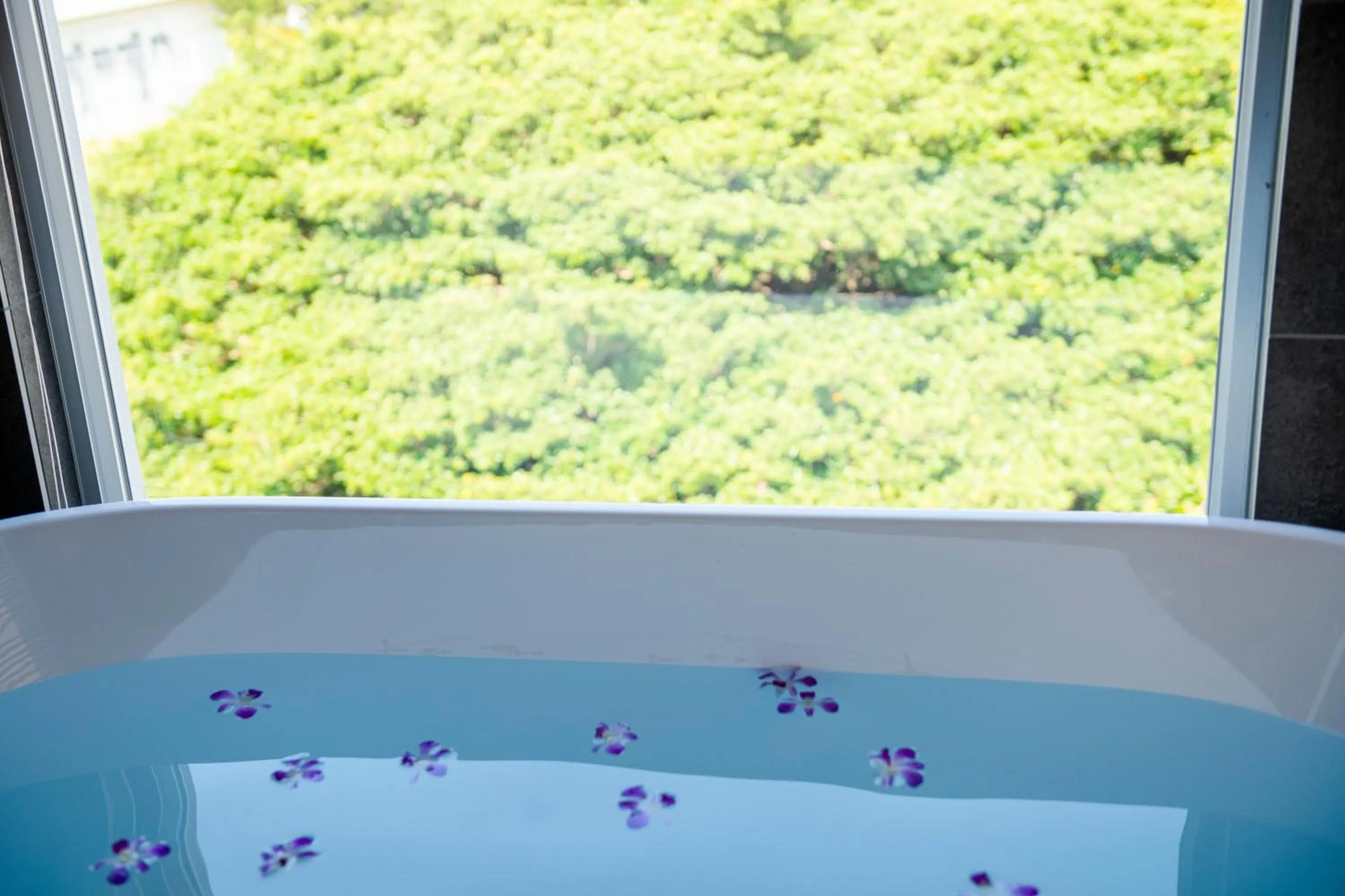 Garden view in HOTEL PETIT SUITE SOGENJI ISHIMON