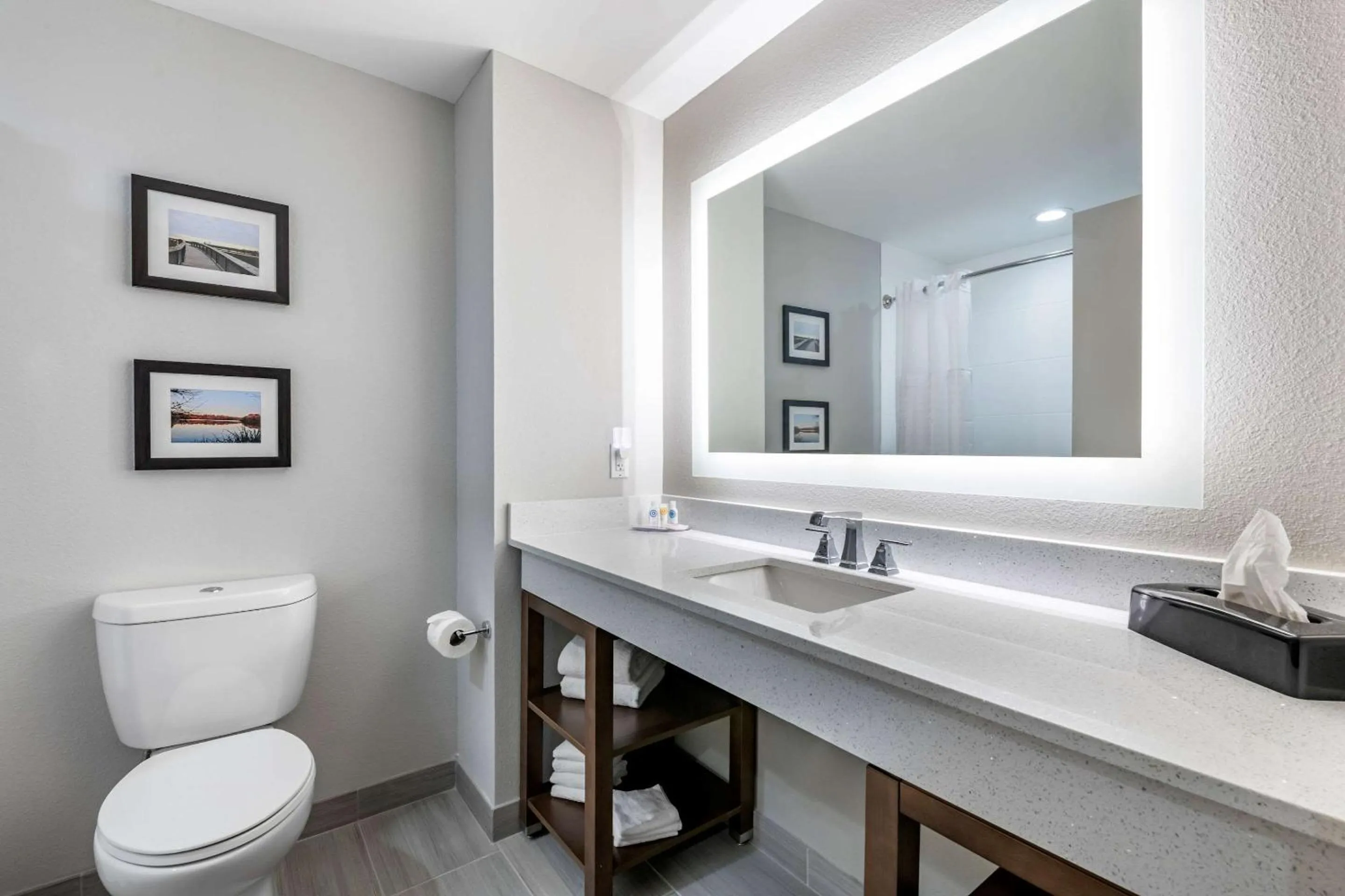 Bedroom in Comfort Suites Gainesville Near University