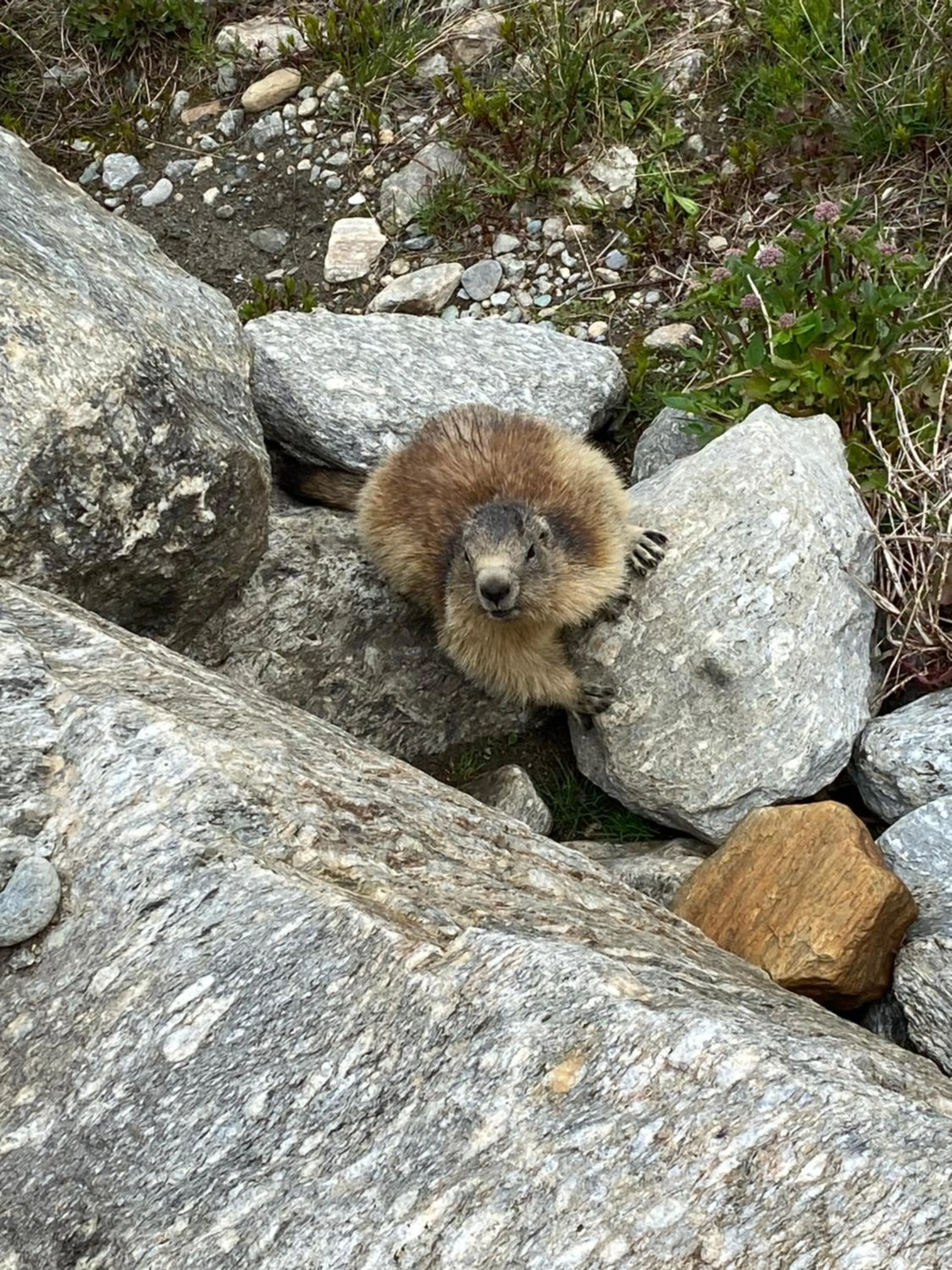 Hiking in Hotel la Turra