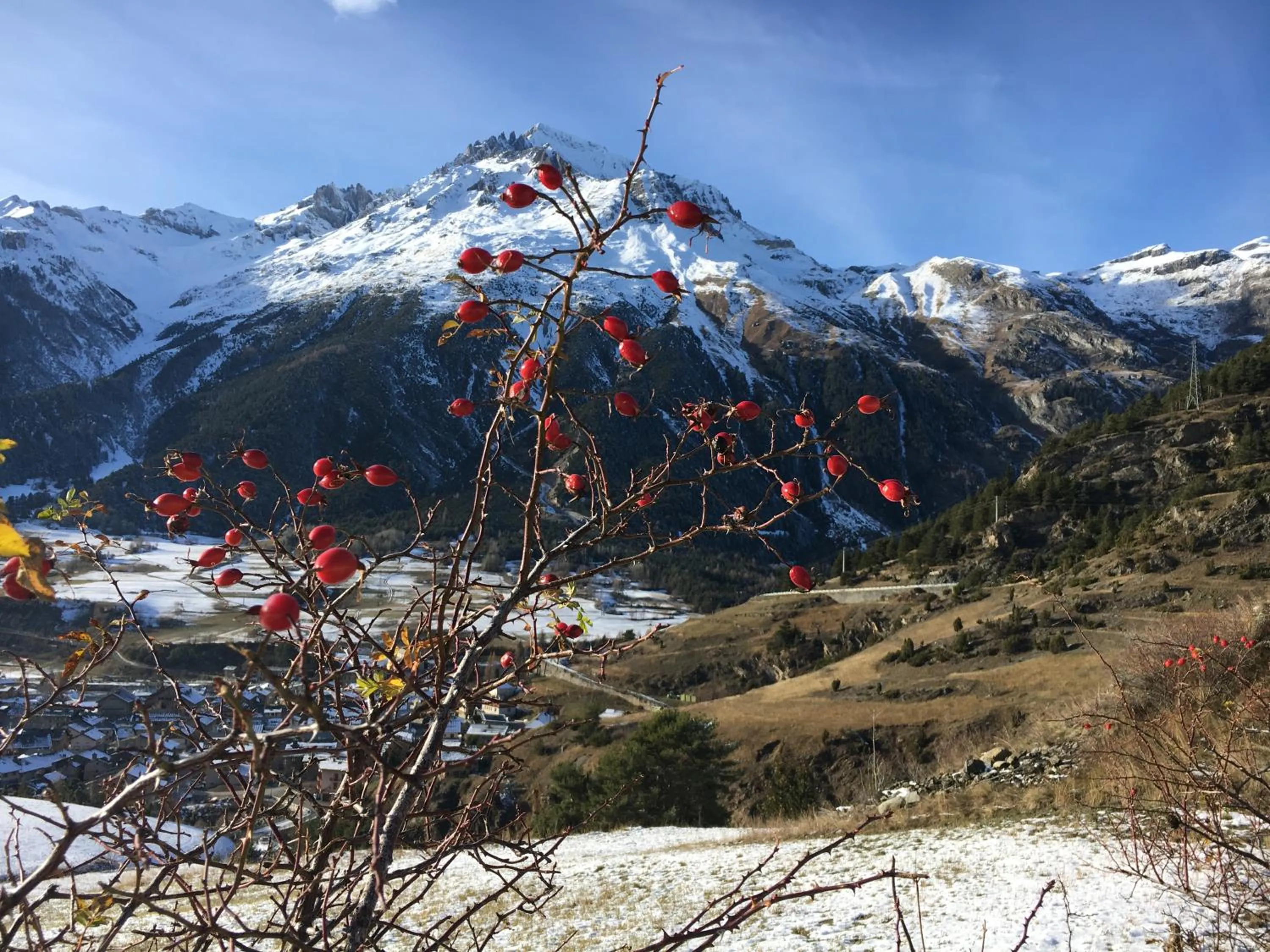 Autumn in Hotel la Turra